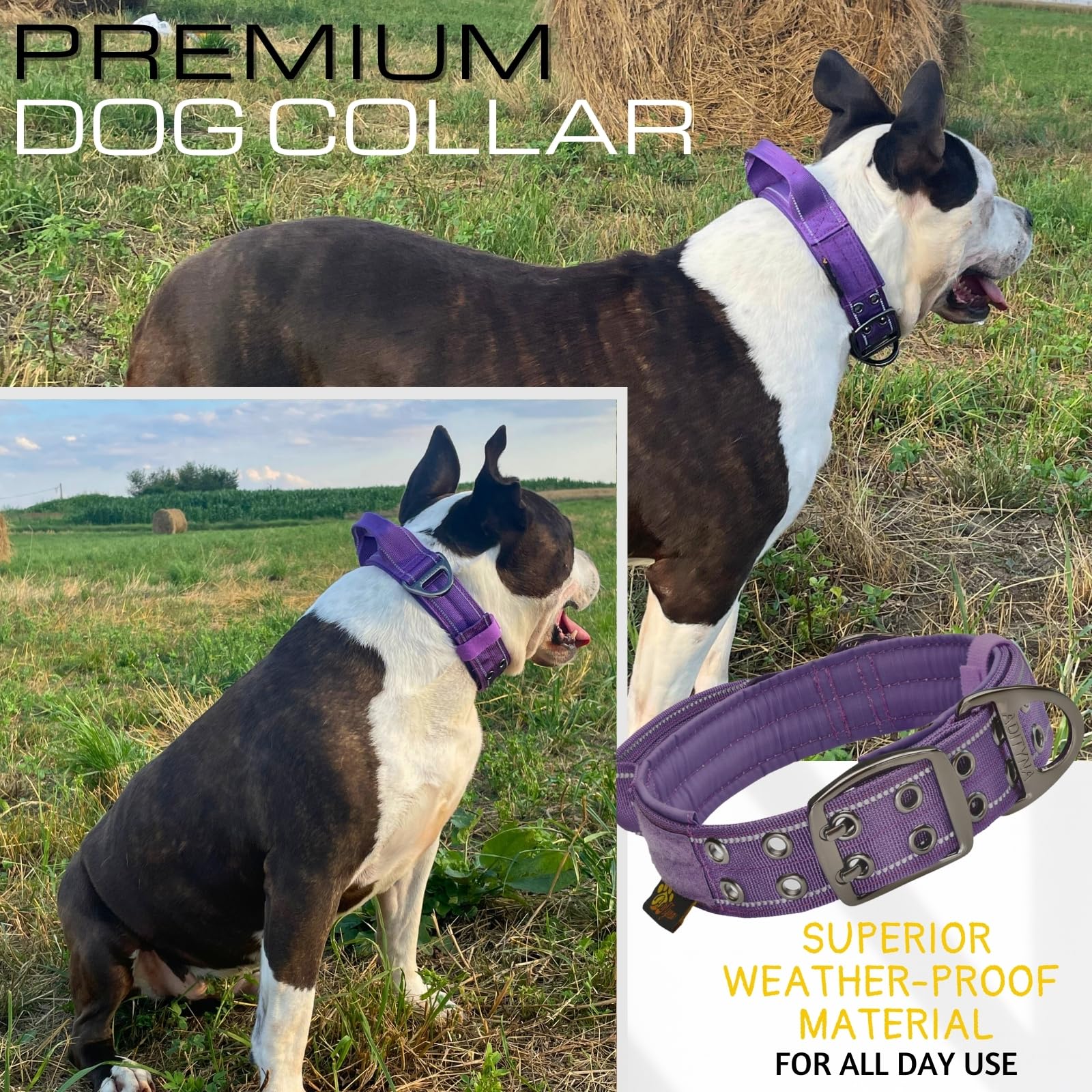 Adityna Heavy Duty Dog Collar For Medium Dogs - Reflective Purple Collar With Handle For Training, And Walking - Wide, Thick, Ta