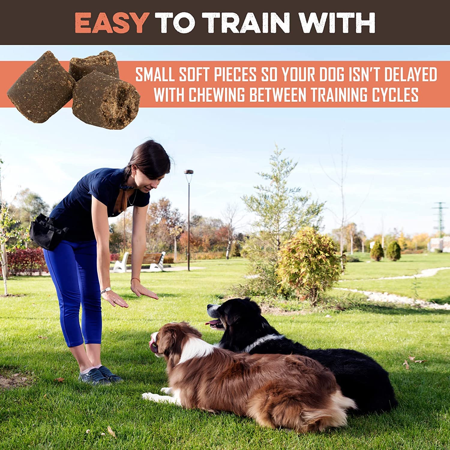 BRUTUS & BARNABY Training Treats for Dogs - Sweet Potato & Chicken - All-Natural Healthy Low Calorie Treat - Great to Use for Re