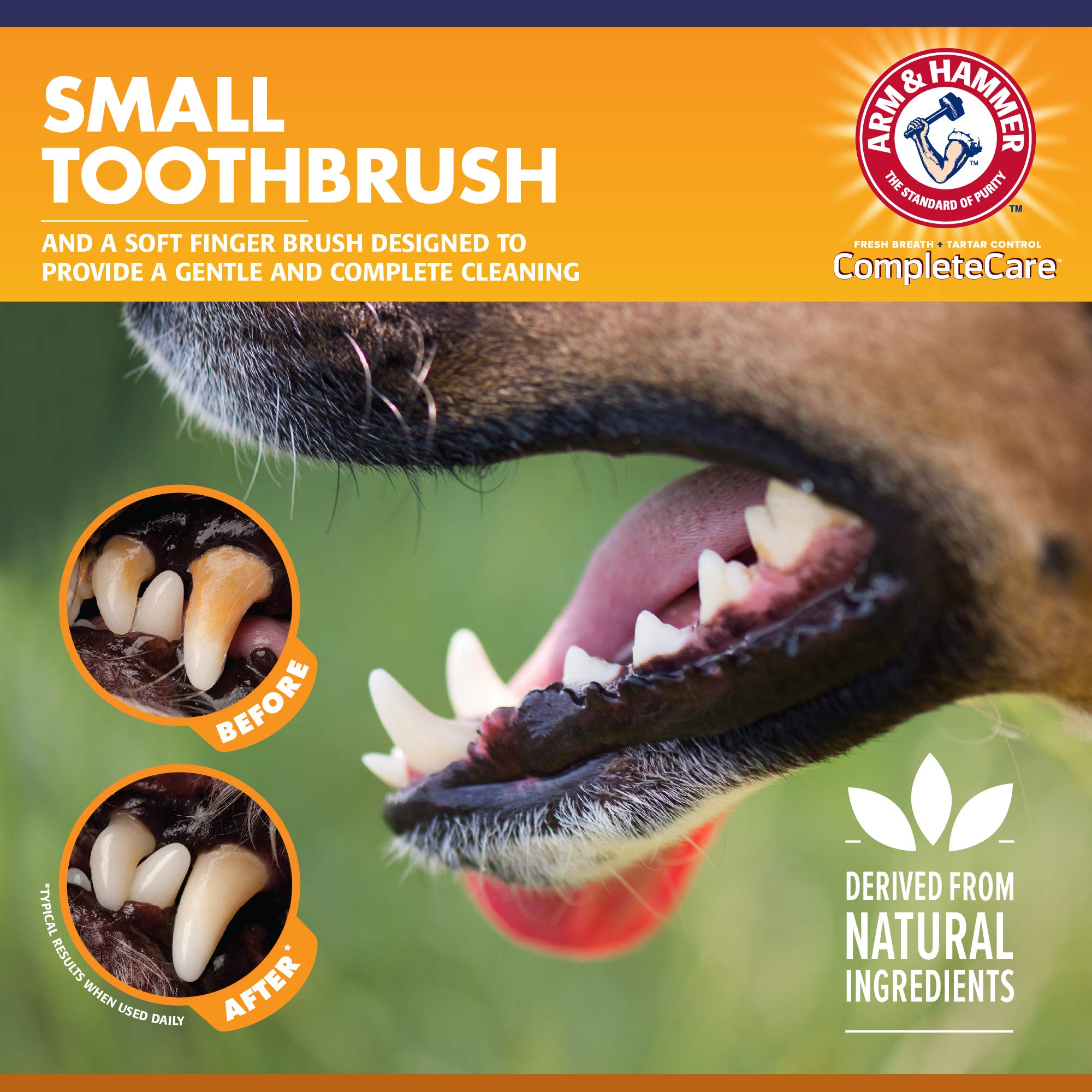 Arm & Hammer for Pets Complete Care Puppy Dental Kit | Includes 2.5 oz Dog Toothpaste in Peanut Butter Flavor, Small Dog Toothbr