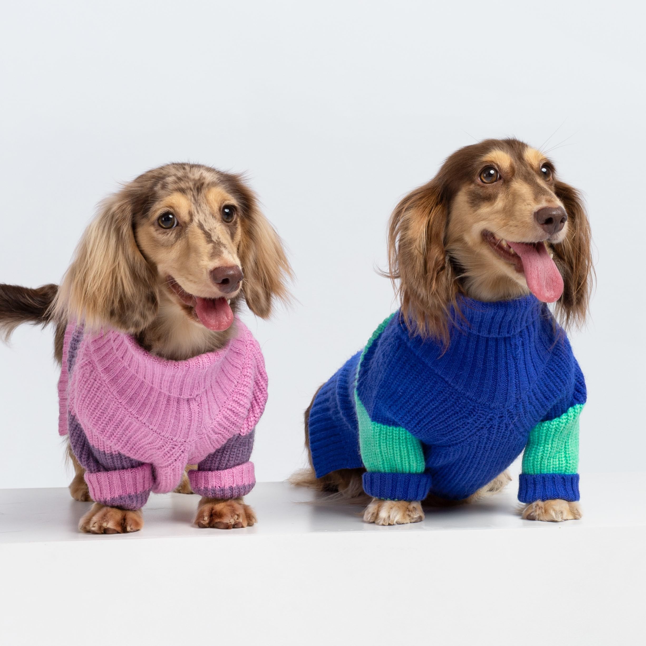 Fitwarm Color Block Dog Sweater, Thermal Dog Winter Clothes For Small Dogs Boy Girl, Soft Turtleneck Sweater For Dog, Pet Outfit