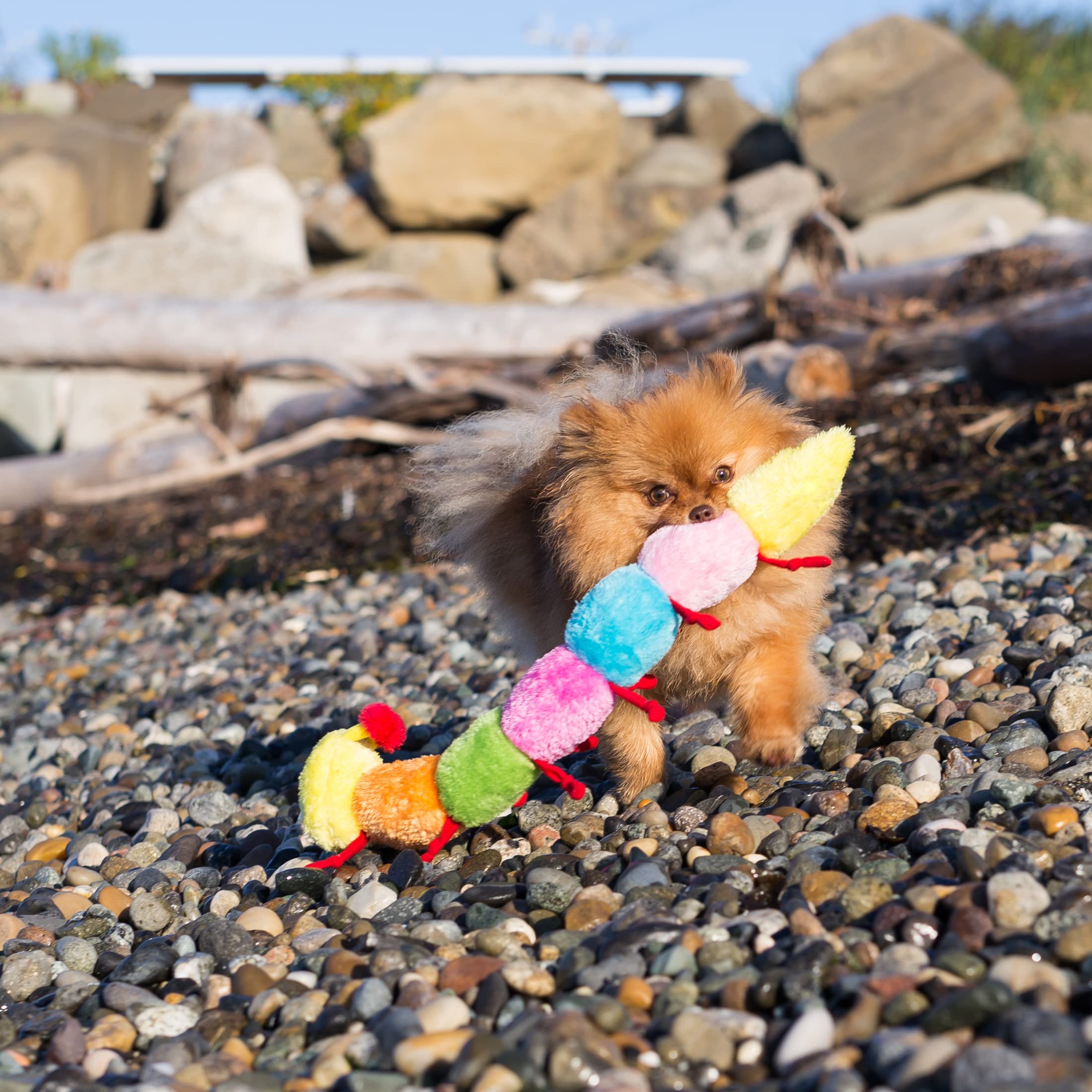 ZippyPaws Large Caterpillar Dog Toy - Soft Plush, 7 Squeakers, Multicolored, for Medium and Large Dogs, Model ZP033, 20"