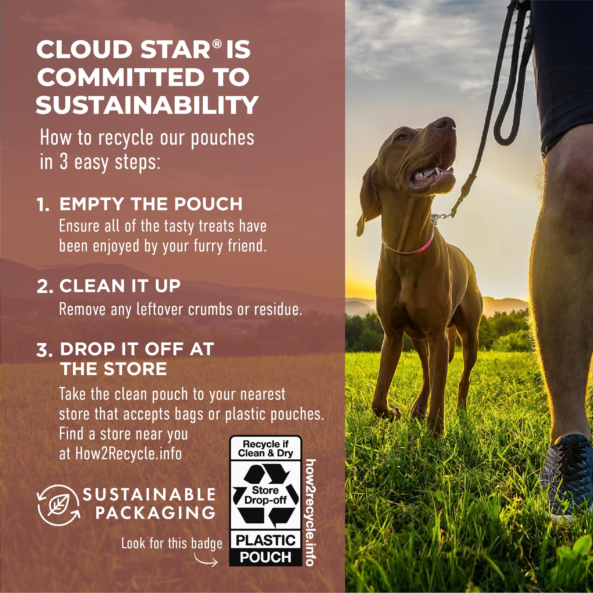 Cloud Star Dynamo Dog Tummy Treats - Soft & Chewy Probiotics Support for Dogs (14 oz. Pumpkin and Ginger) (20212)