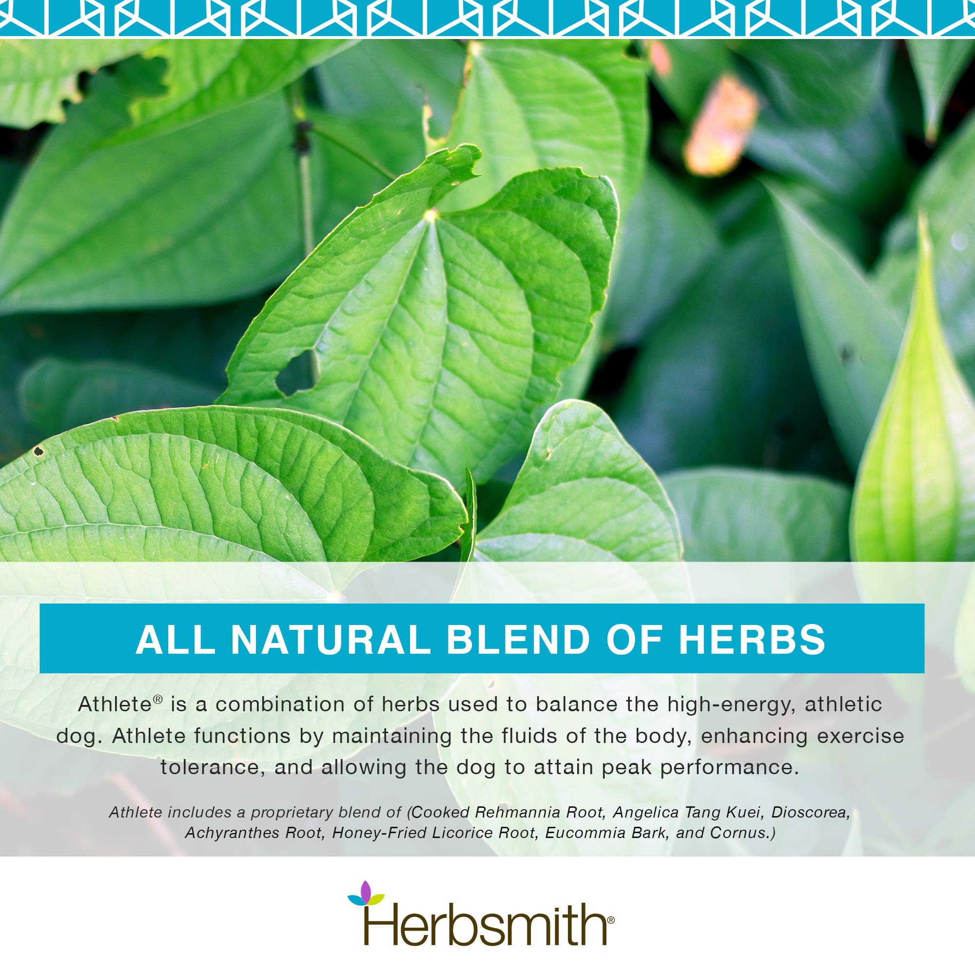 Herbsmith Athlete - Canine Endurance Supplement for Working and Agility Dogs - For the Canine Athlete - 500g Powder