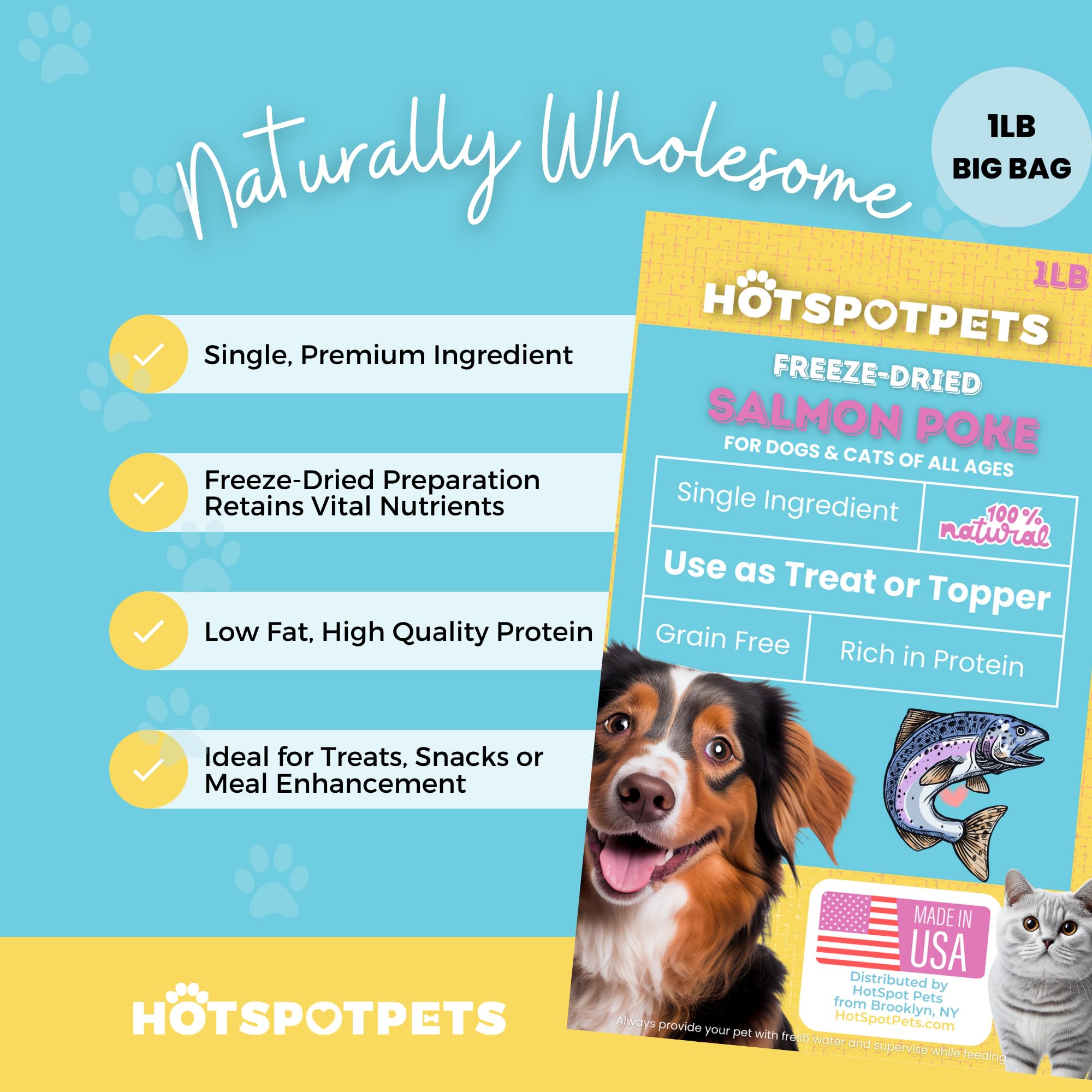 hotspot pets Freeze Dried Salmon Treats for Cats & Dogs -Made in USA-1LB Resealable Big Bag -Single Ingredient, High Protein, Al