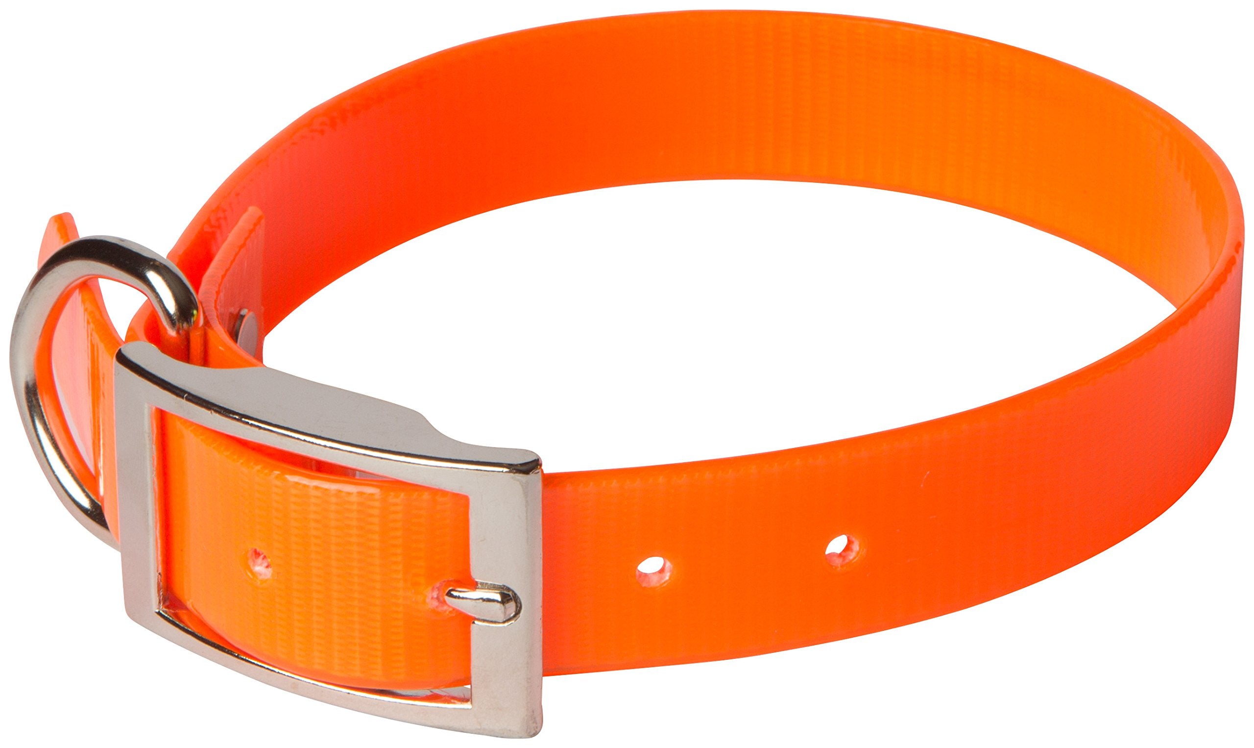Omnipet Sunglo Regular Dog Collar, 1 X 25, Orange