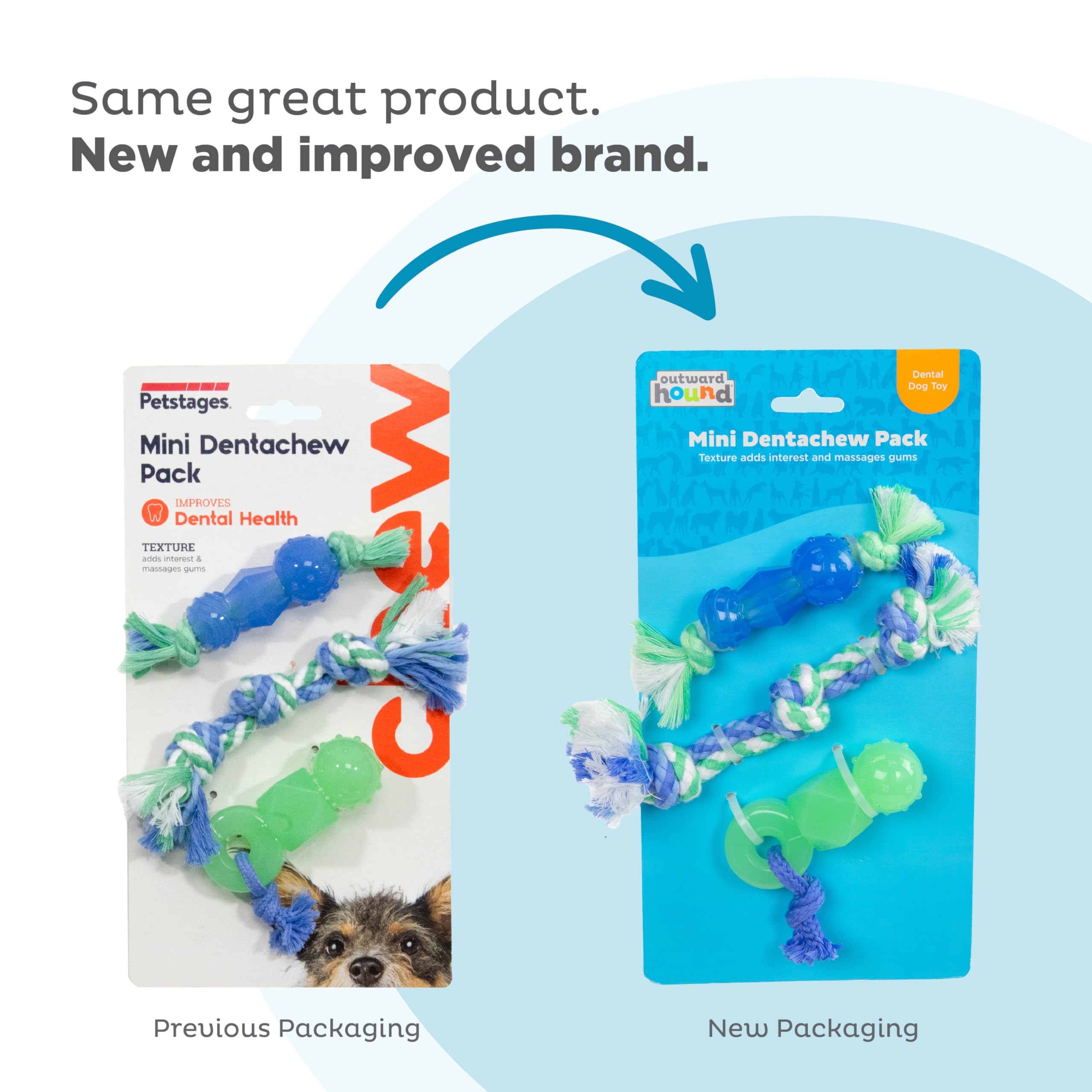 Outward Hound Mini Dentachew Dental Dog Chew Toy - 3 Pack - Great Size For Small Dogs And Puppies