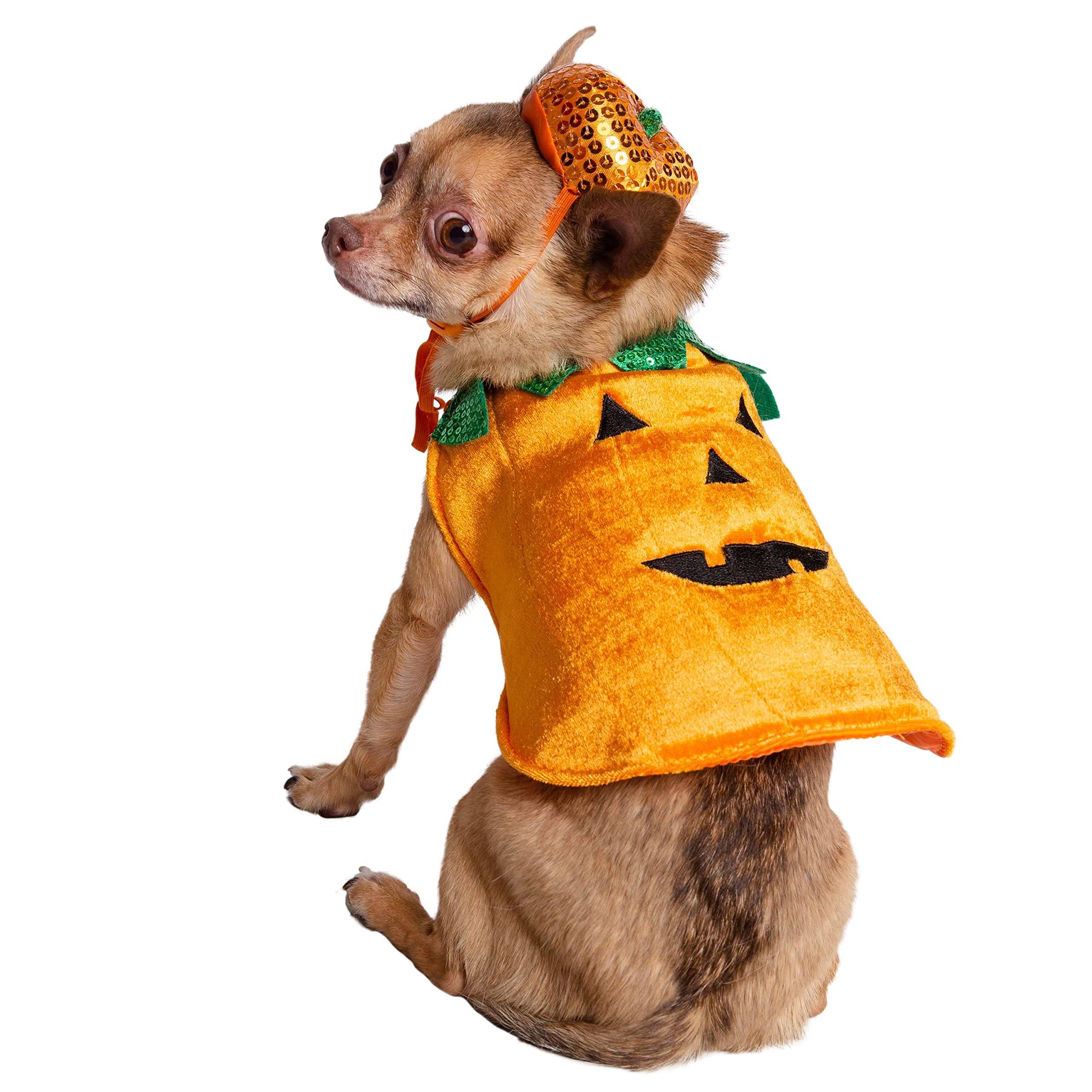 Pet Krewe Small Dog Pumpkin Outfit - Pet Pumpkin Costume - Fits Small, Medium, Large And Extra Large Dogs, Cats - Perfect For Halloween, Christmas Holiday, Parties, Photoshoots, Gifts For Dog Lovers