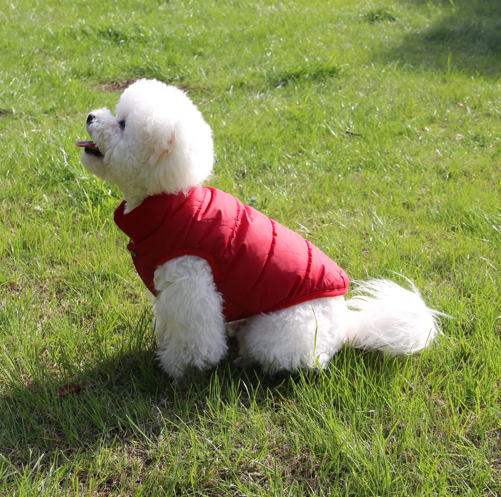 Joydaog 2 Layers Fleece Lined Warm Dog Jacket For Puppy Winter Cold Weather,Soft Windproof Small Dog Coat,Red M