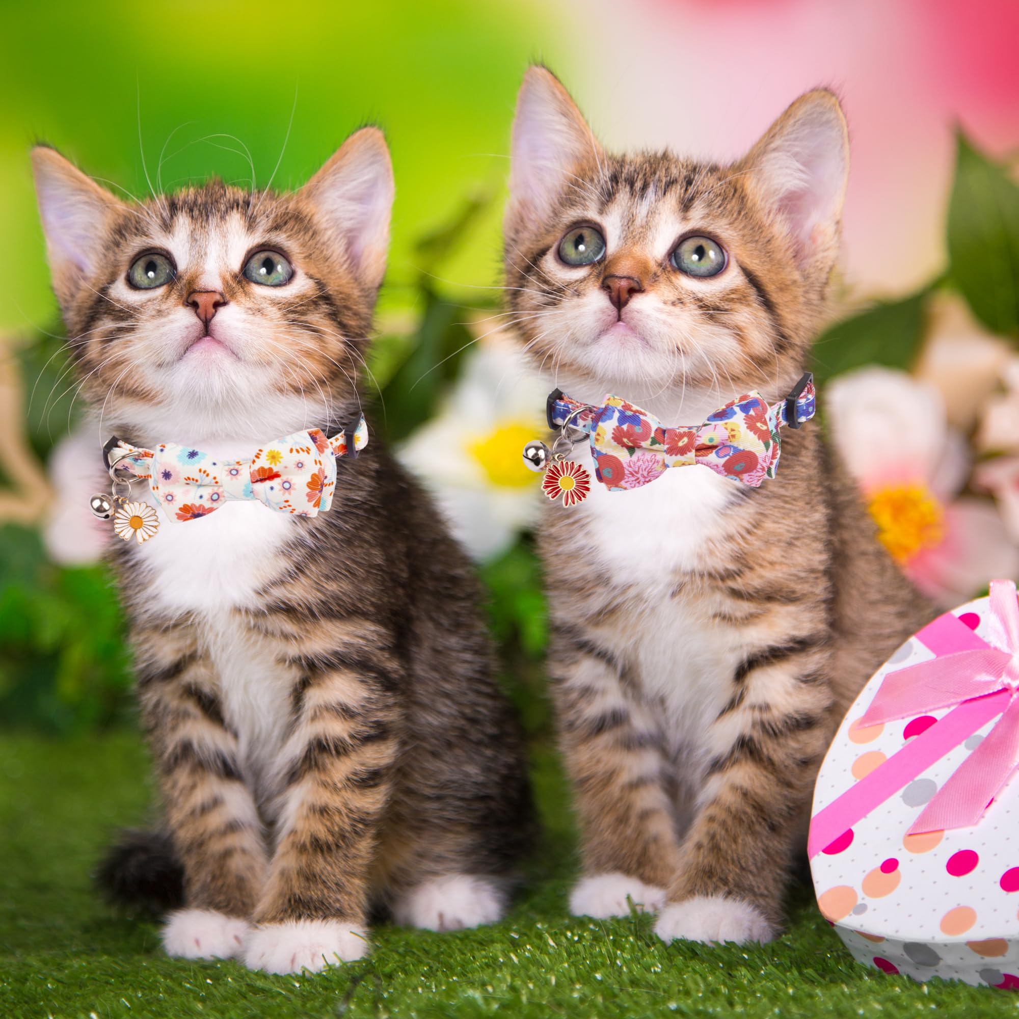 Adoggygo Floral Cat Collar Breakaway With Bow Tie Bell - 2 Pack Cute Flower Collars With Removable Bowtie Floral Bowtie Collars