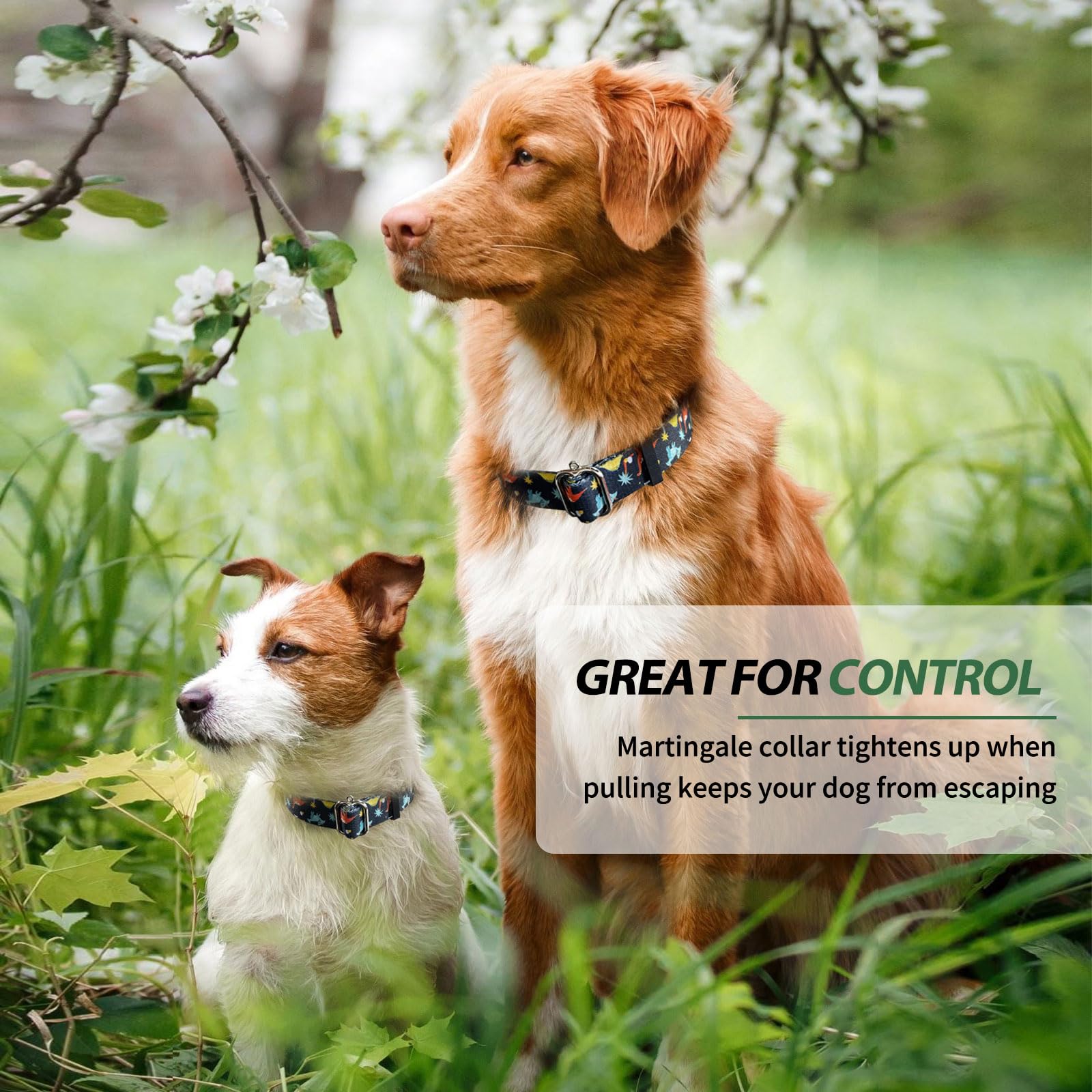 Hikiko Martingale Collar For Dogs With No Buckle Boy Male No Pull Dog Collars For Small Dogs,Dinosaur,S