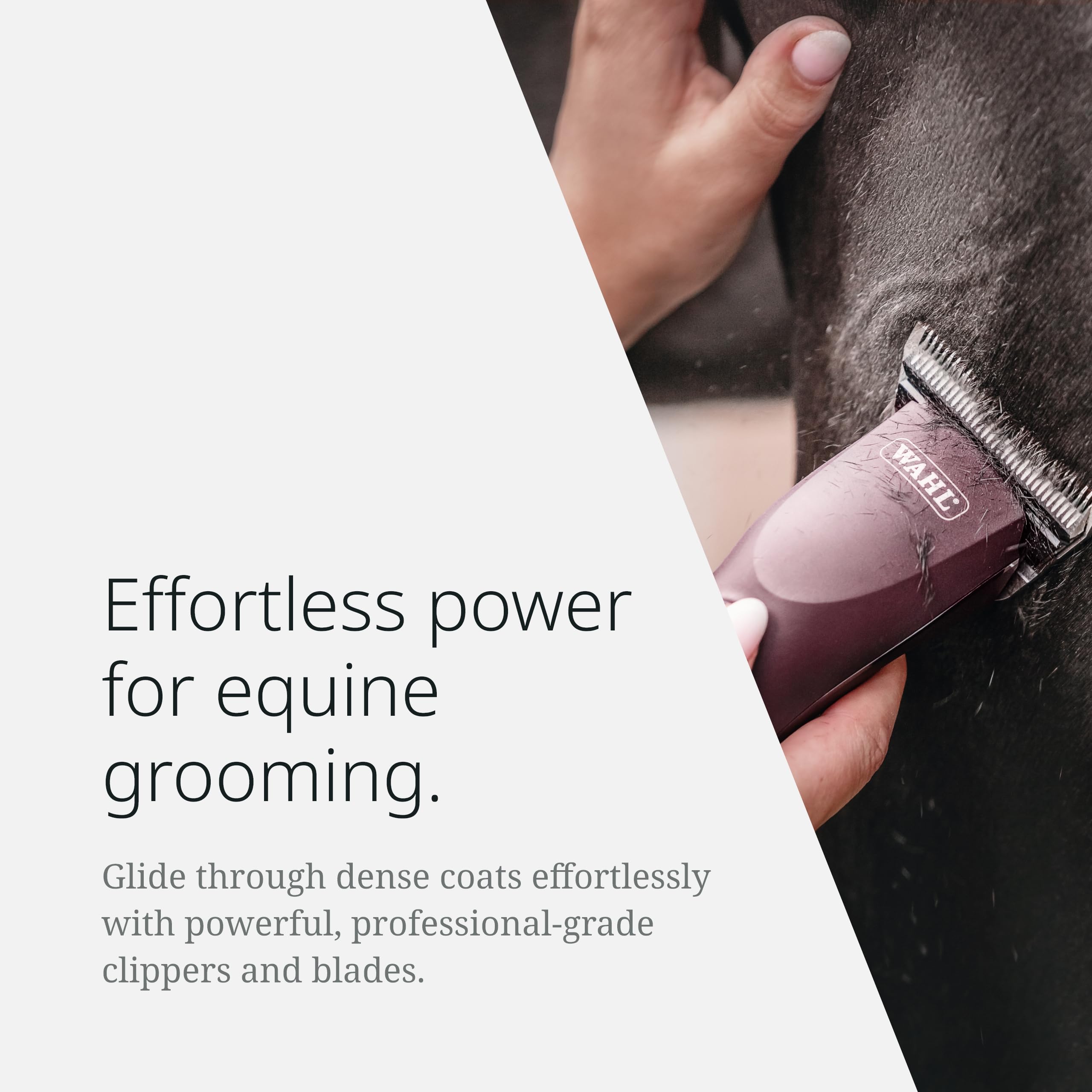 Wahl Pro Animal Km Supera Cordless Equine Clipper - Professional Horse Grooming Clipper - Quiet, Cordless Clipper - Battery-Powe