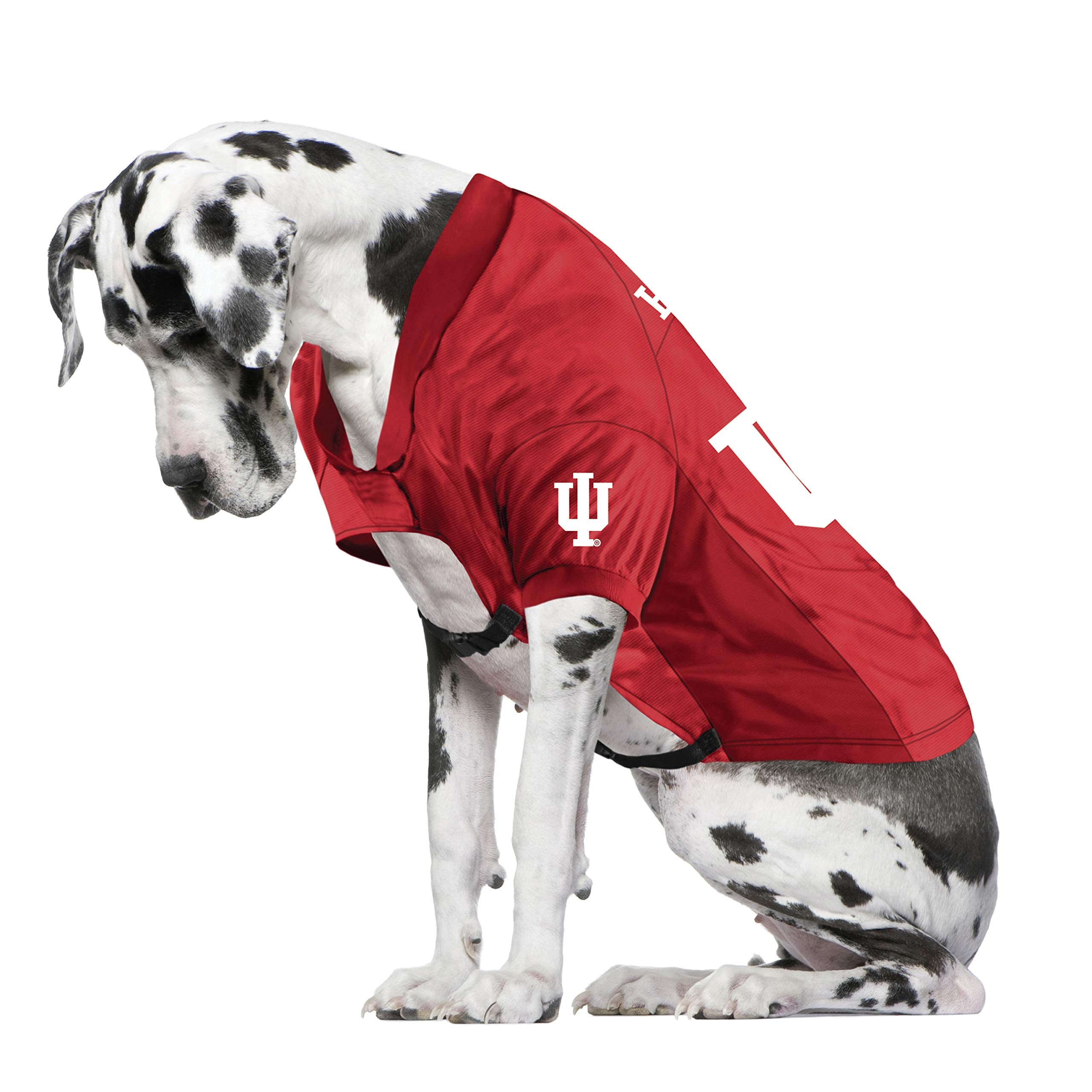Indiana Hoosiers Pet Jersey Stretch Size Big Dog - Special Order