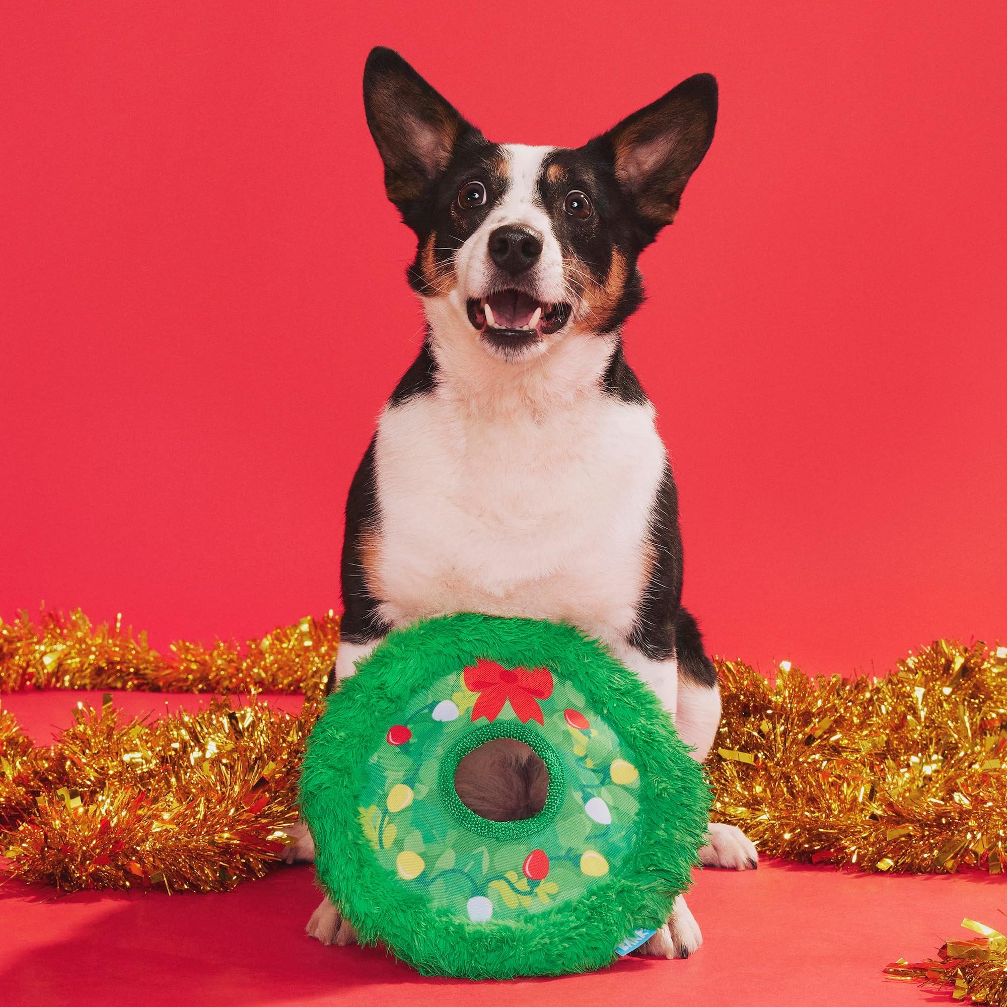 Barkbox Get Lit Wreath Dog Toy - Holiday Fetch & Fling Disc with T-Shirt Rope, Crazy Crinkle & Long Plush Hair - Durable Holiday