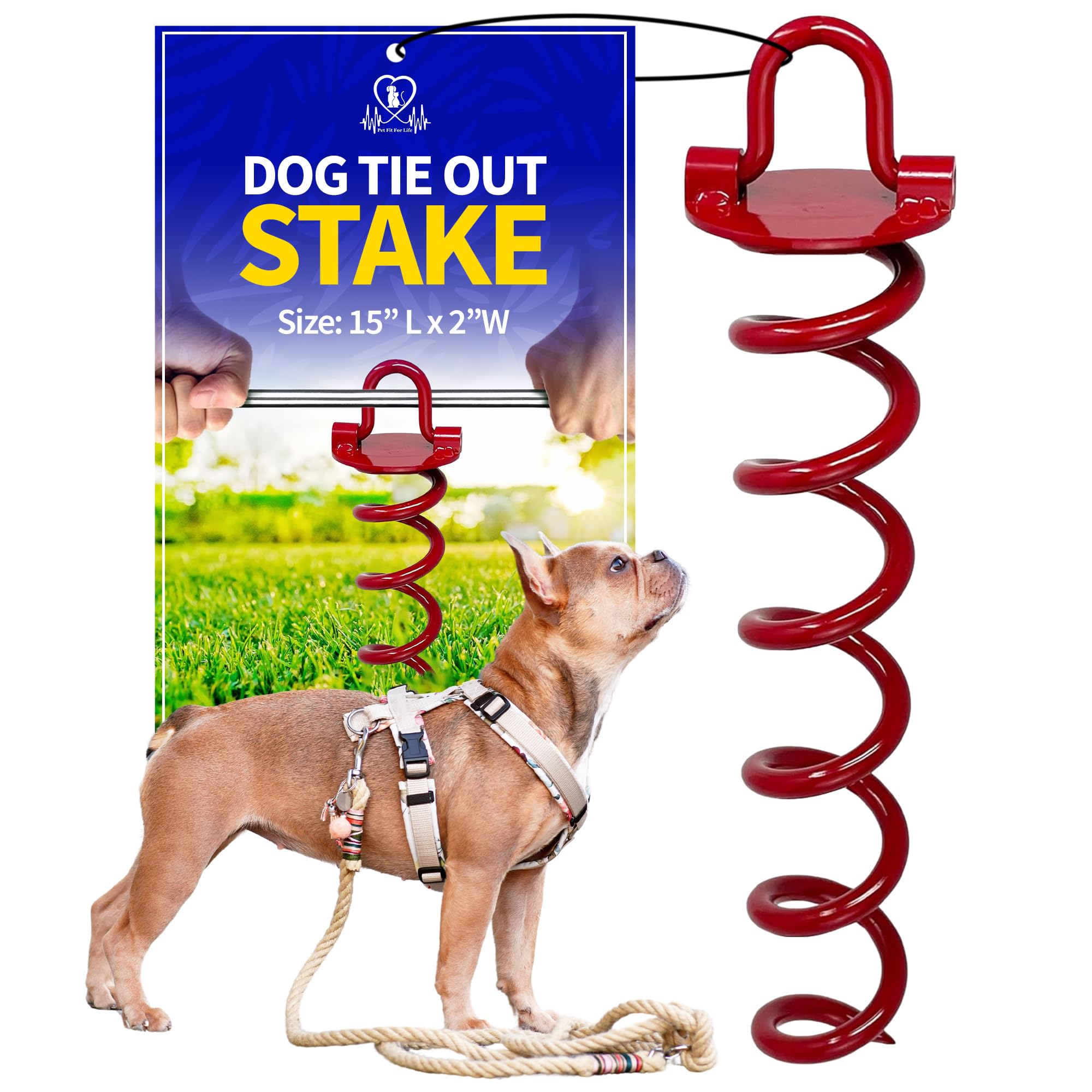 Pet Fit For Life Dog Tie Out Stake - Heavy Duty Steel Yard Stake, Secure Ground Anchor with Swivel Ring for Cable, Outdoor Leash