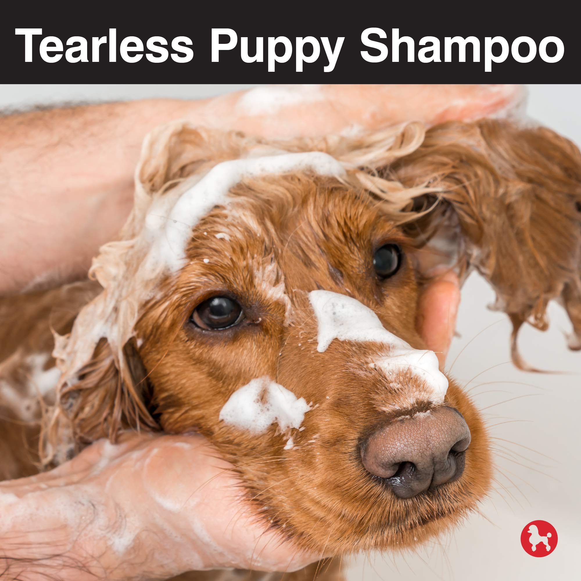 Chi Tearless Puppy Shampoo For Dogs, 16 Oz | Best Gentle Tearless Puppy Shampoo | Sulfate & Paraben Free, Ph Balanced For Dogs, Made In The Usa