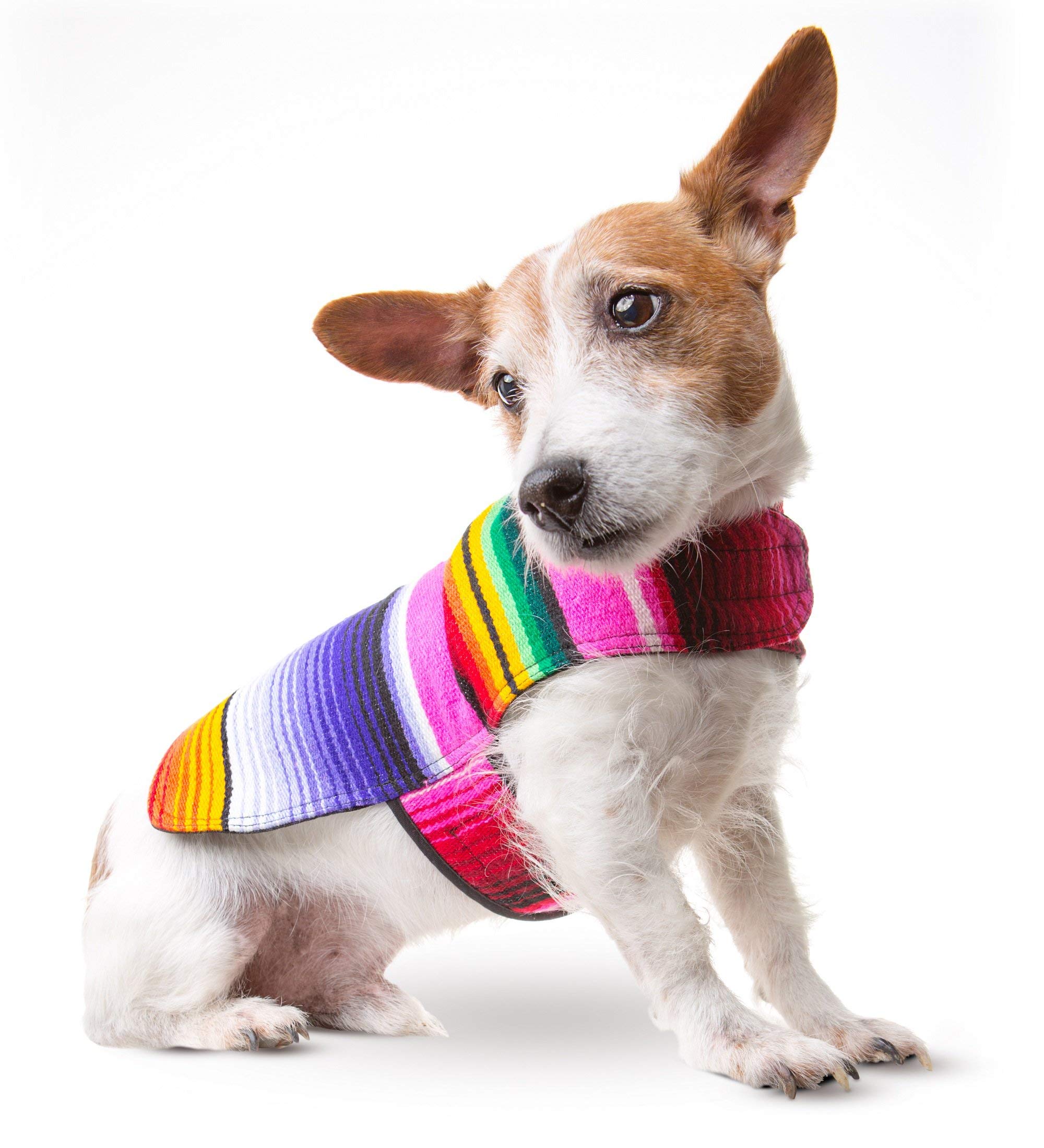 Dog Clothes - Handmade Dog Poncho - Cinco De Mayo Chihuahua Costume From Authentic Mexican Blanket (Pink, Xxs)