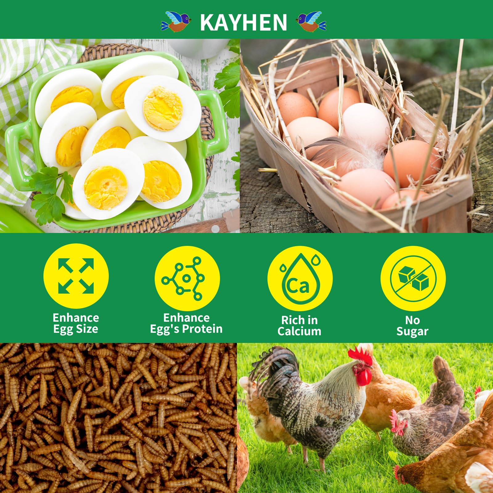 KAYHEN Dried Black Soldier Fly Larvae 5LB Non-GMO BSF Larvae for Chickens More Calcium Than Mealworms High-Protein Chickens Trea