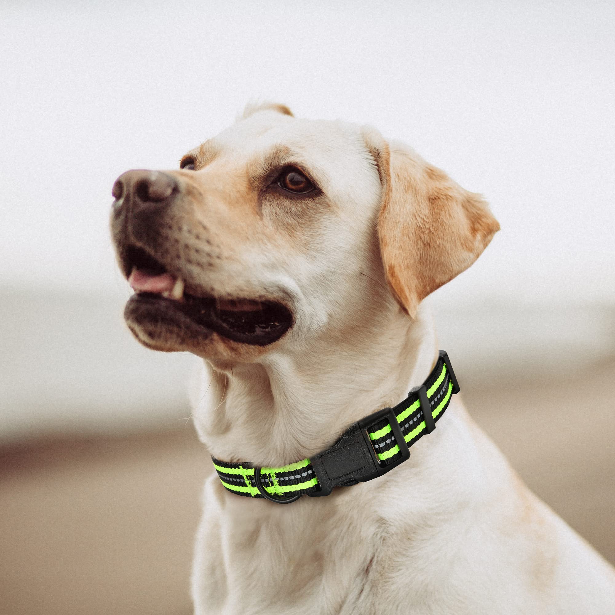 Mile High Life Reflective Dog Collar | Nylon Pet Collars wiith Buckle | Light Weight Puppy Collars | Lime Green Dog Collars for