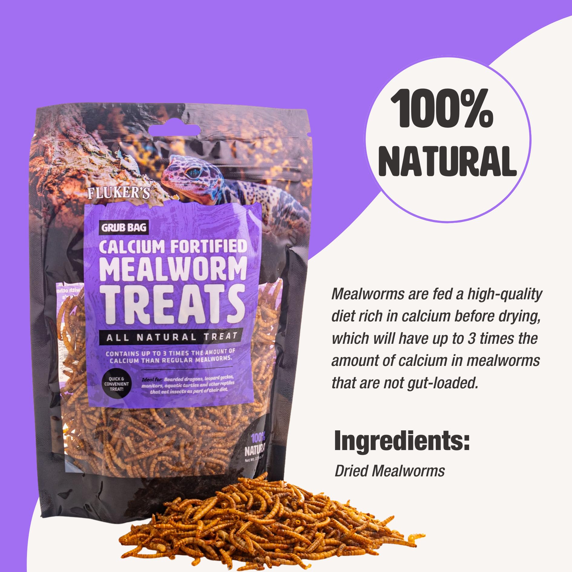 Flukers Grub Bag Calcium Fortified Mealworm Treats for Reptiles