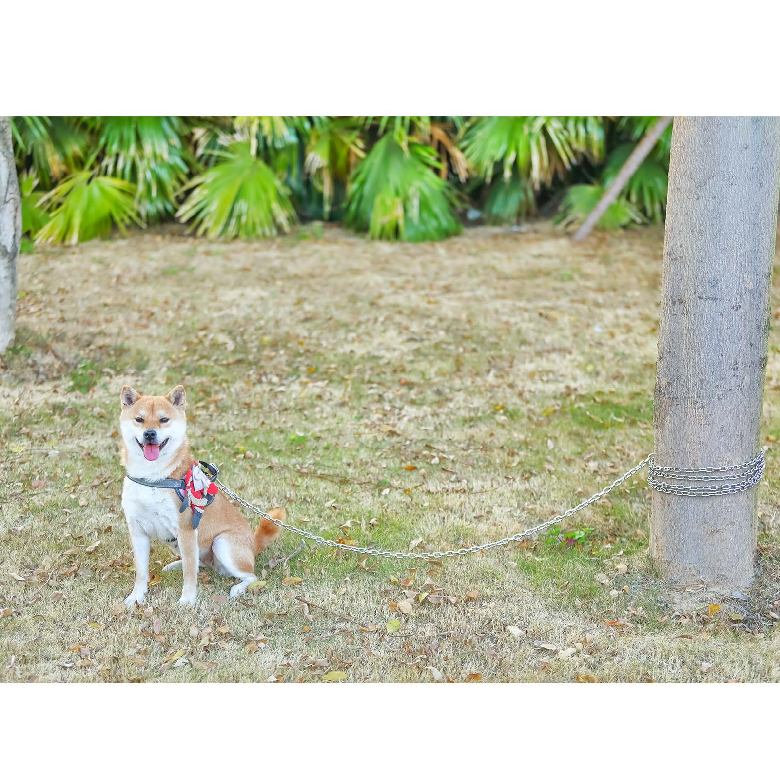 16FT 304 Stainless Steel Dog Chains Line for Outside - 3 MM Heavy Duty Tie Out Cable with Swivel Hook for Small and Medium Dogs