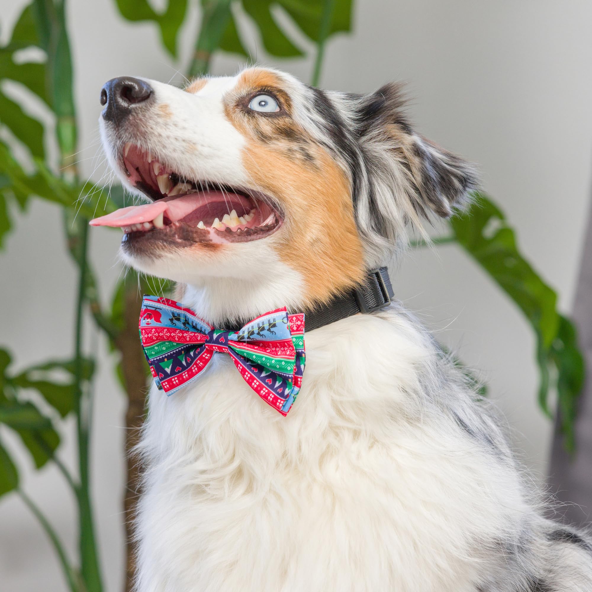 Huxley & Kent Ugly Sweater Bow Tie For Pets | Extra-Large Christmas Holiday Collar Attachment | Fun, Comfortable & Durable Bow T