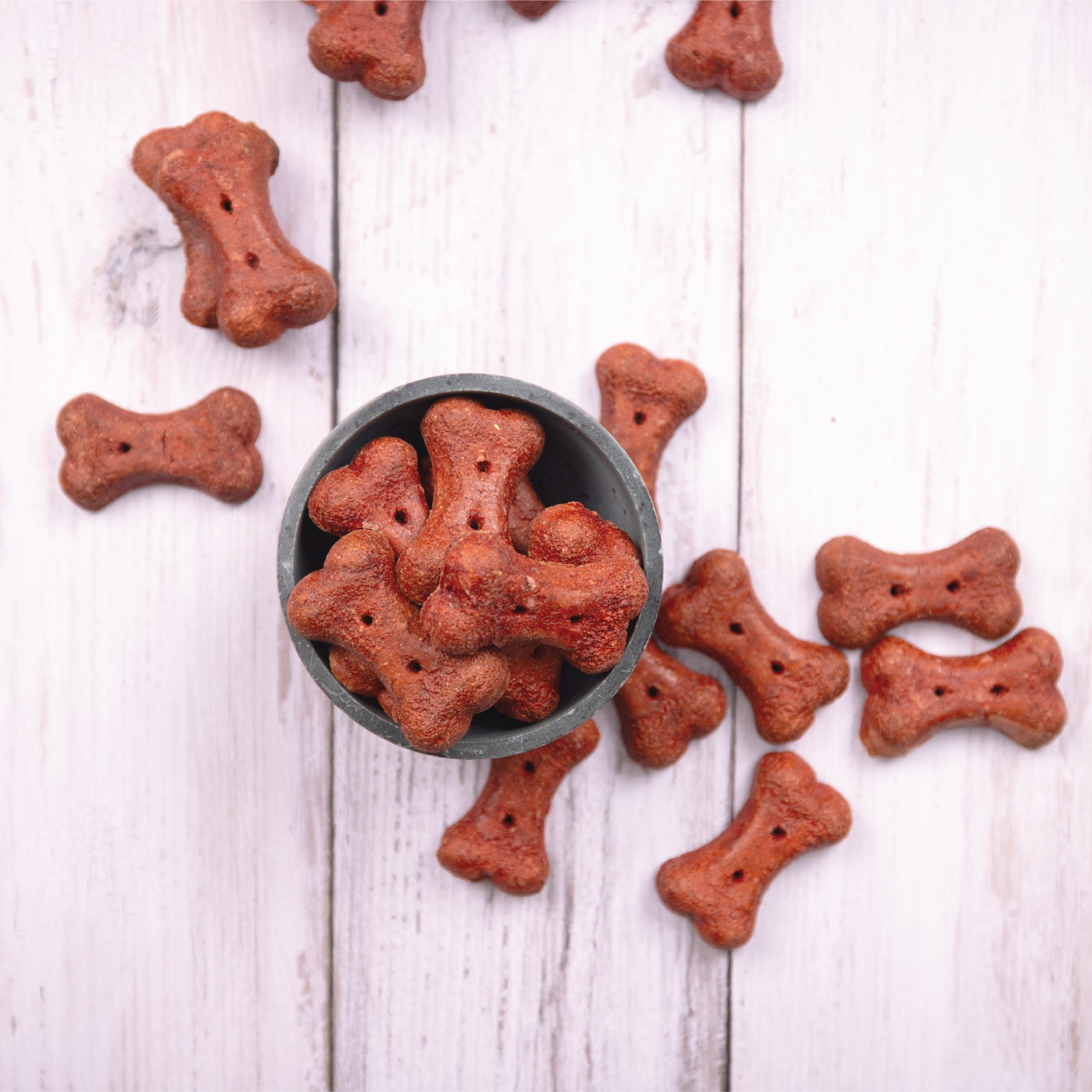Pet Life Basted Beef Flavor Biscuits Dog Treats, 6lb