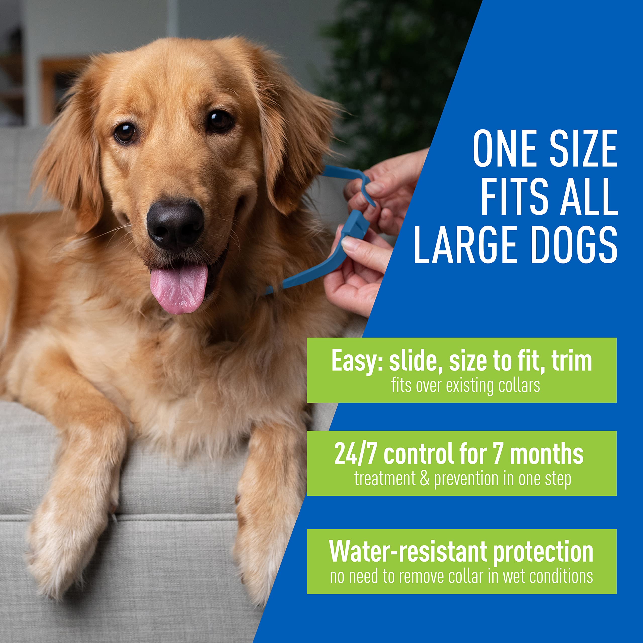 Adams Plus Flea & Tick Collar For Dogs, 7-Month Protection, Adjustable Collar Fits Large Dogs & Puppies, Kills & Repels Fleas, Flea Eggs, Flea Larvae And Ticks, Kills Tick Larvae And Tick Nymphs, Blue