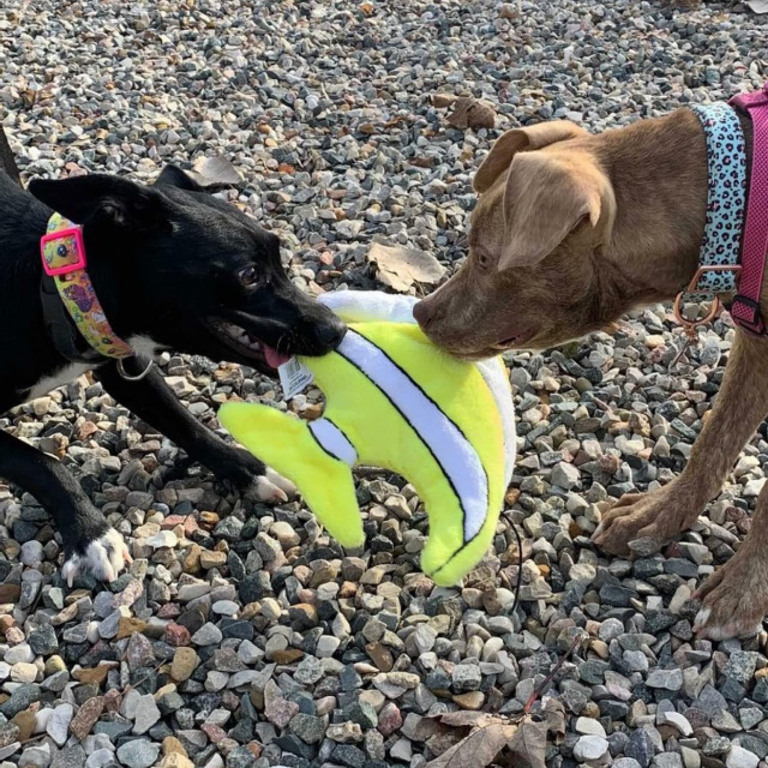 Smartpetlove Snuggle Puppy Tender-Tuffs Big Shots - Large Plush Dog Toys For Medium And Large Breeds - Stuffed Yellow Angelfish