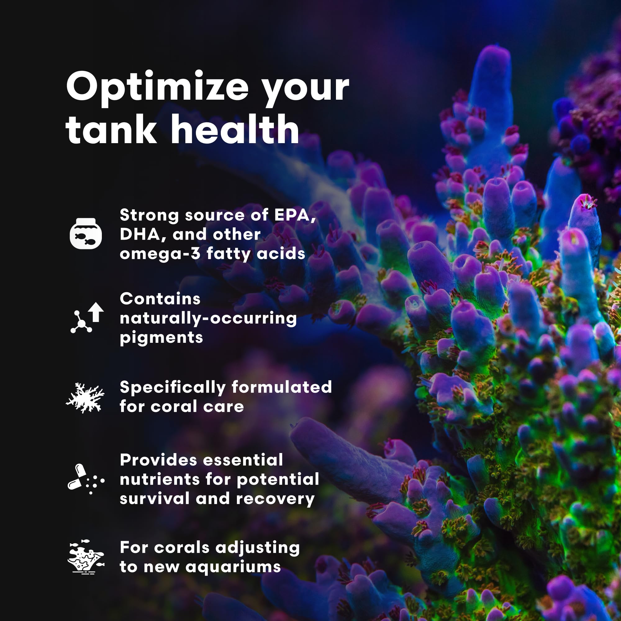 Brightwell Aquatics - Restor Liquid Coral Tissue Supplement - Fish Tank Reef Nutrition for Live Coral Growth Acceleration, Colou