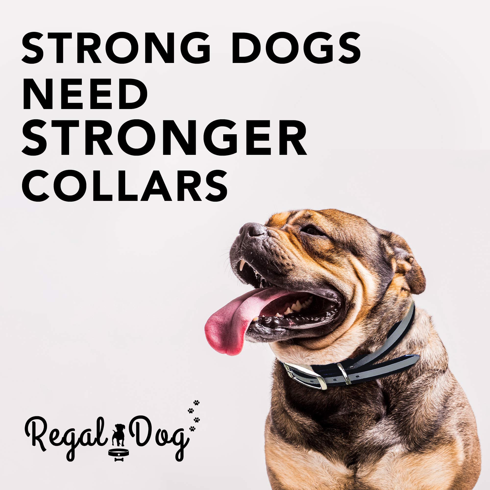 Regal Dog Products Large Black Heavy Duty Reflective Dog Collar With Durable Metal Buckle And D Ring Adjustable, Chew Proof & Wa