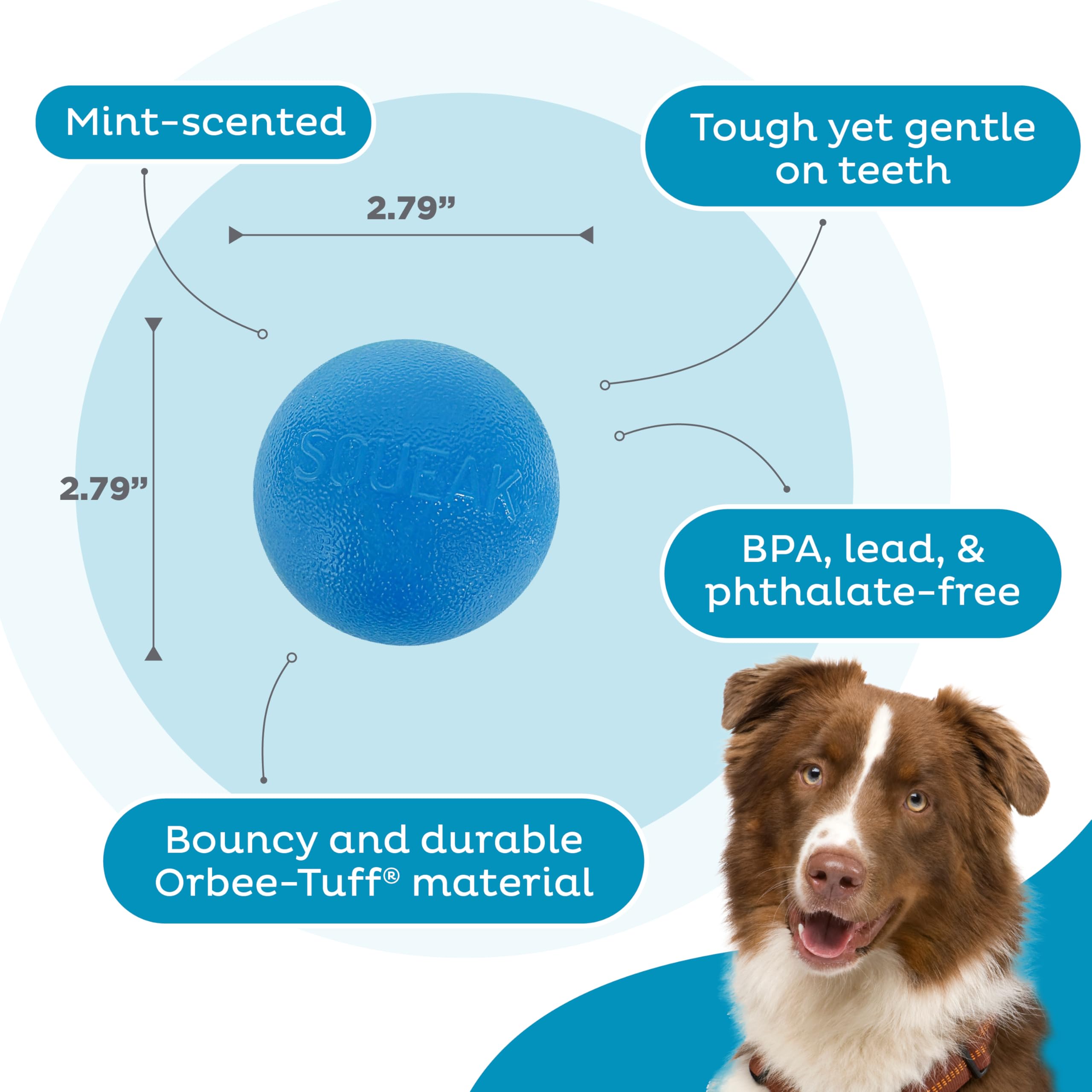 Outward Hound By Planet Dog Squeak Ball Bouncy Fetch Dog Toy, Blue