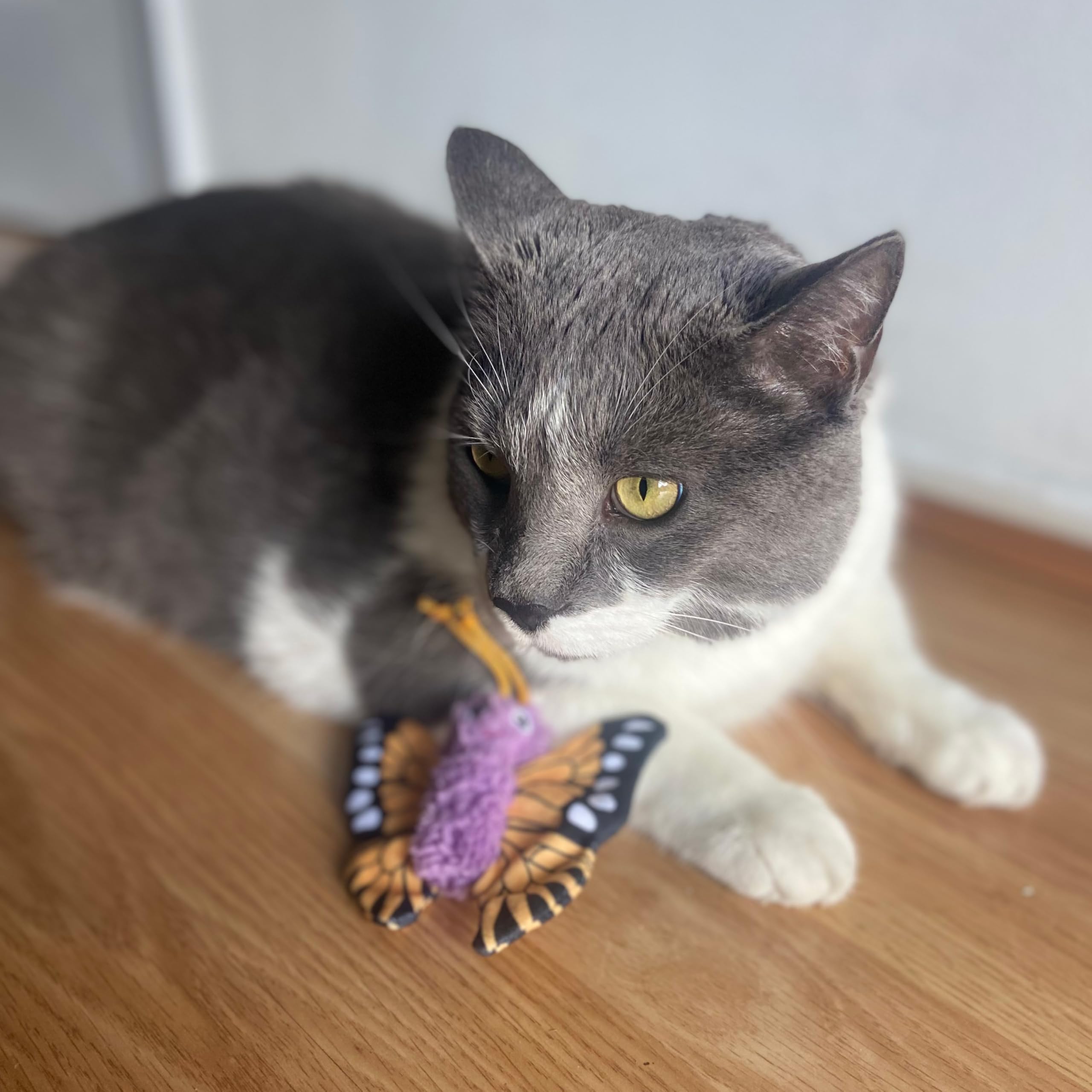 Spot Love The Earth Butterfly Cat Toy - Eco Friendly Catnip Toy Made With Recycled Plastic Bottles, Soft, Plush, Bright Colored