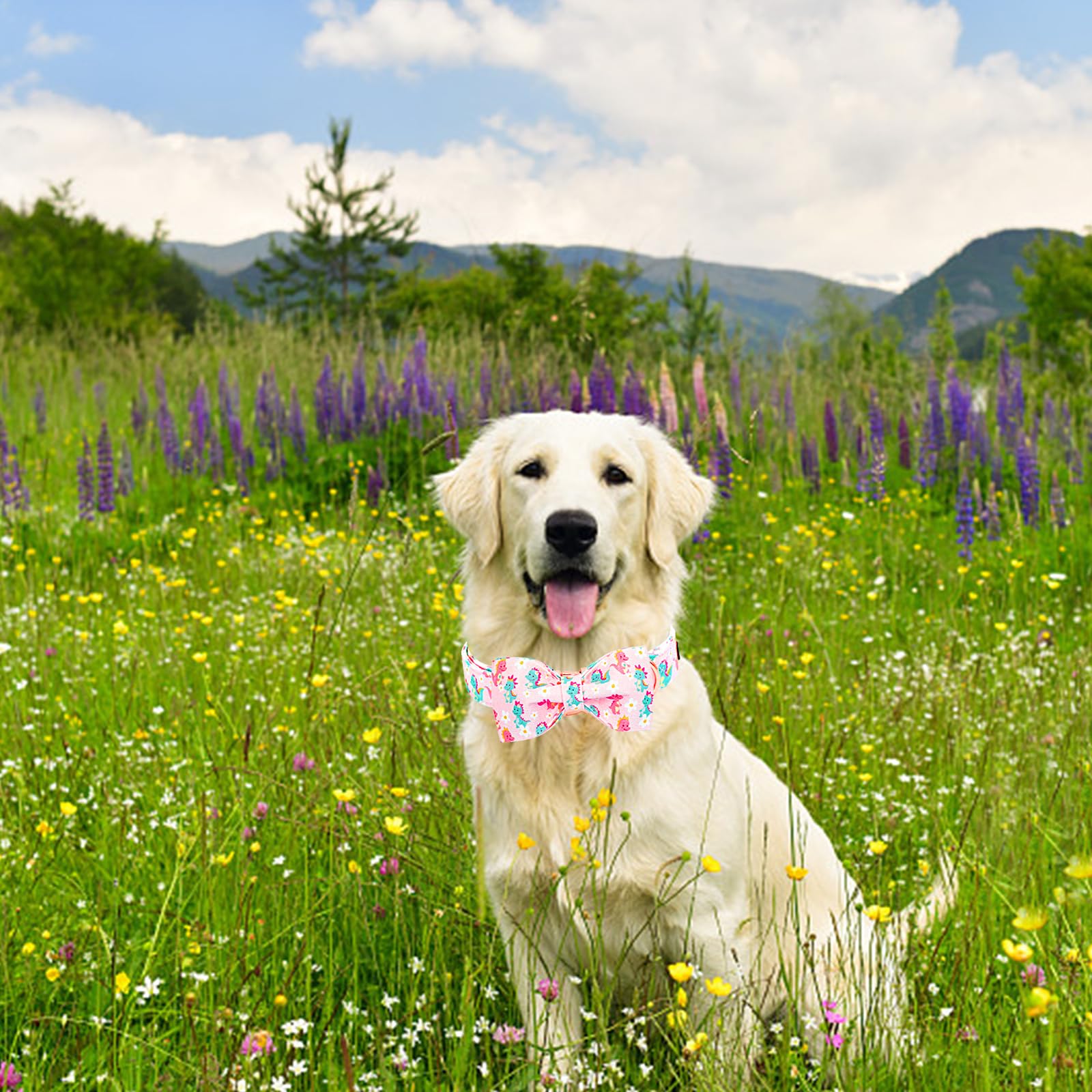 Lionheart Glory Dog Bow Collar Dinosaurs Pattern Cute Collars For Large Dogs,Soft Duty Adjustable Dog Collar With Bowtie Spring