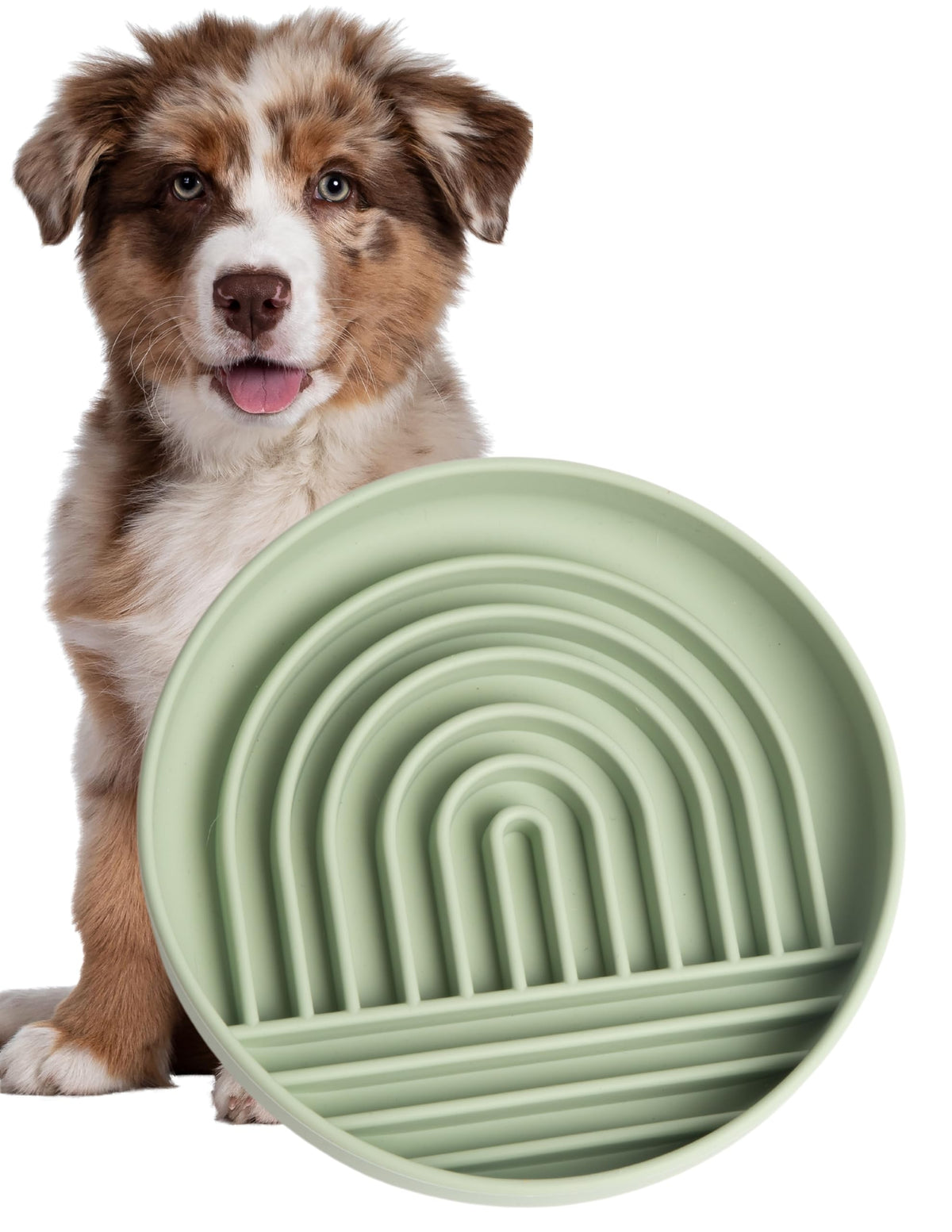 Modern Rainbow Pet Slow Feeder Bowl, Silicone Slow Feeder For Dogs & Puppies, Slow Eating, Modern Lick Mat Design, Reduces Gulpi