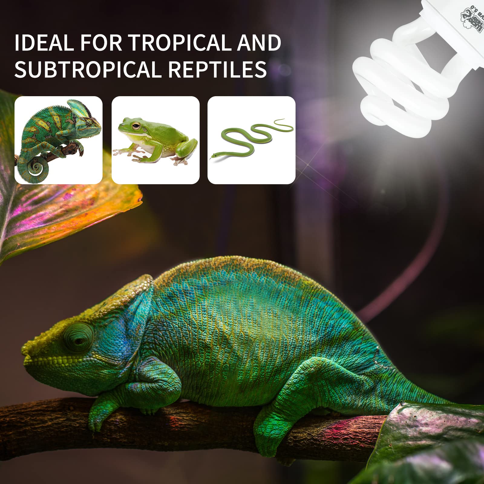 LUCKY HERP 2 Pack UVA UVB Reptile Light, 15W 5.0 UVB Bulb for Tropical and Sub Tropical Reptiles, Compact Fluorescent Terrarium