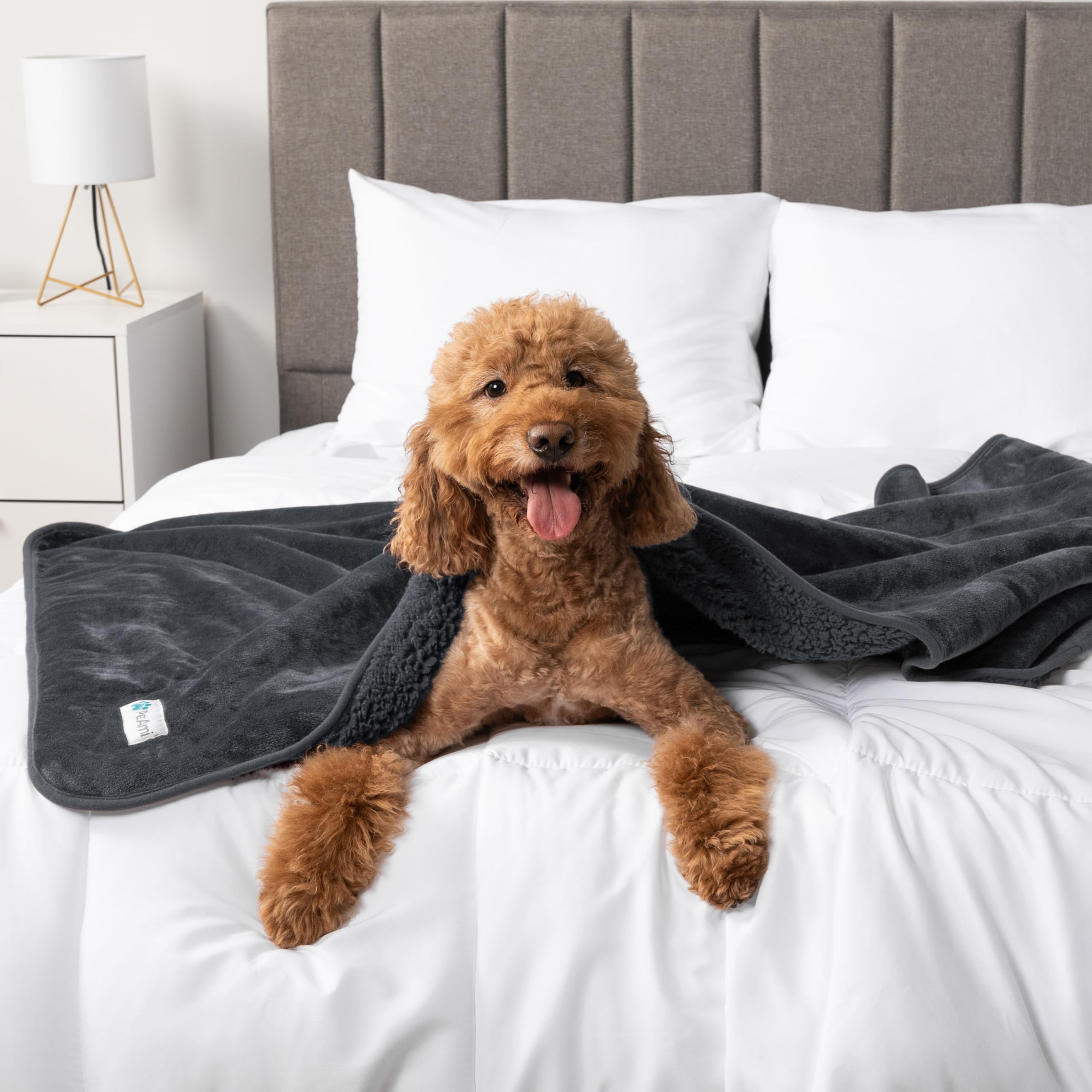 Petami Waterproof Dog Blanket For Medium Large Dogs, Pee Proof Pet Blanket For Bed Couch, Reversible Water Proof Blanket For Puppy Indoor Cat, Soft Dog Pee Crate Cover Washable, 60X80 Gray