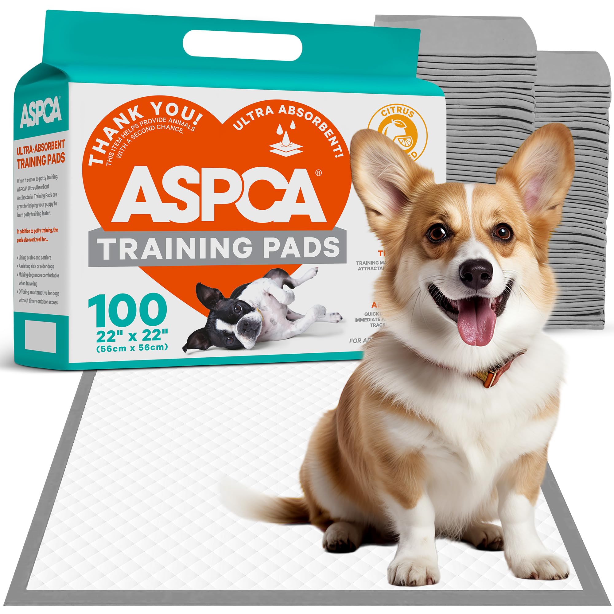 ASPCA Citrus Scented Training Pads, 22" x 22", Gray, 100 Pack, Model AS62931