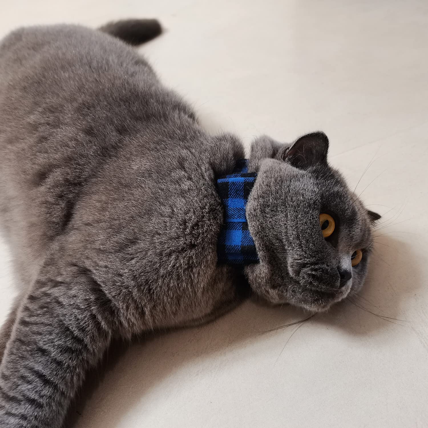 3PCS Bow Tie Dog Collar and Leash Set Plaid/Camo/Dots/Flower Dog Bandanas with Bell 3 Size Adjustable for Small Dogs Puppies and