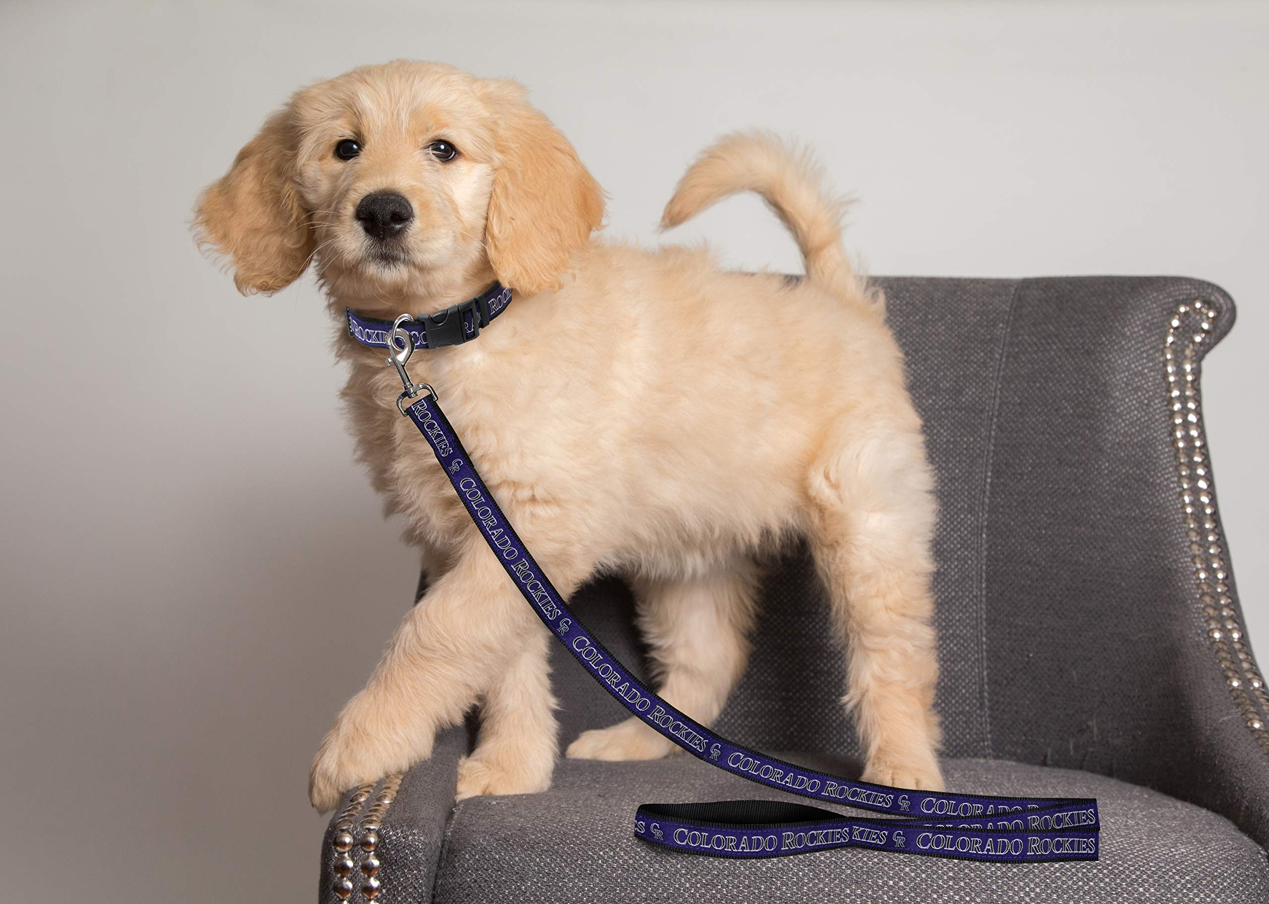Mlb Pet Leash, Large, Colorado Rockies Dog Leash, Baseball Team Leash For Dogs & Cats. A Shiny & Colorful Dog & Cat Leash With E