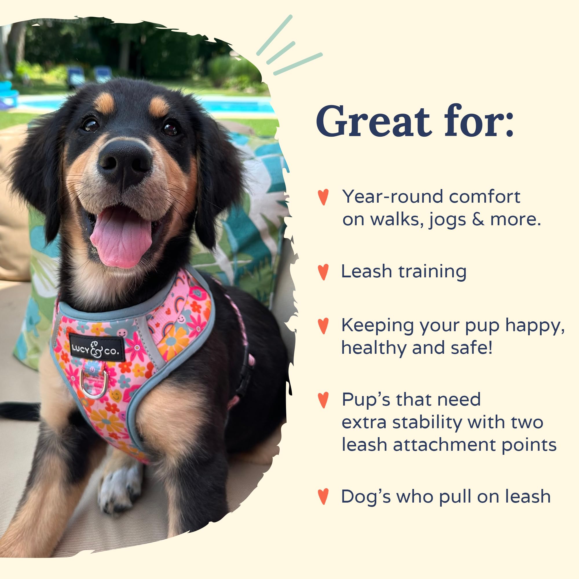 Lucy & Co. The Y2K Baby No-Pull Dog Harness - Size Small - Vest to Stop Pulling & Walk Easy - Comfortable Leash Training Product