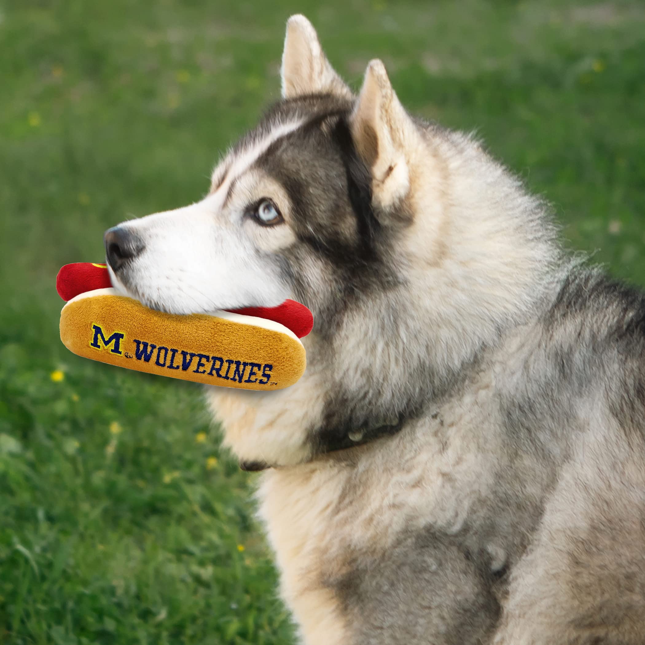 Pets First Ncaa Michigan Wolverines Hot Dog Plush Dog & Cat Squeak Toy- Cutest Hot-Dog Snack Plush Toy For Dogs & Cats With Inne