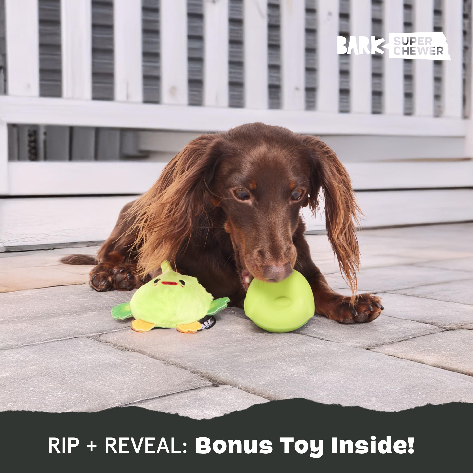 Barkbox Piper Parrot Dog Toy For Small Dogs, Perfect For Flipping Fun And Tearable Outer Layer With Bonus Toy Inside For Extra P