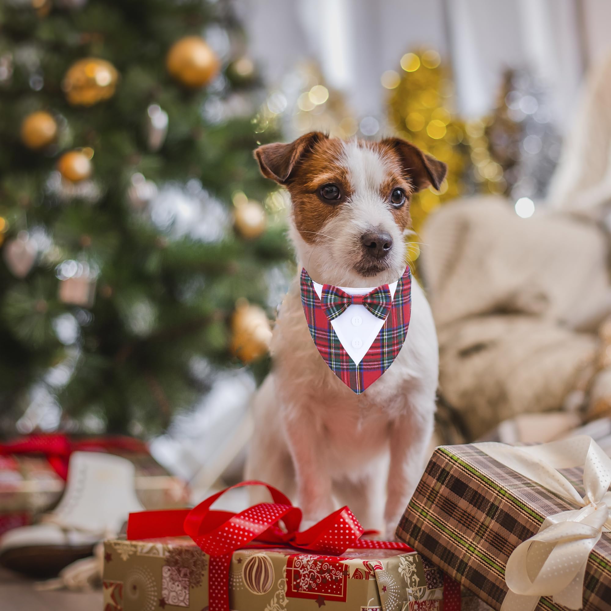 Adoggygo Christmas Dog Tuxedo Bandana, Red Plaid Pet Chritstmas Collar With Bowtie, Adjustable Christmas Costume For X-Small Dog