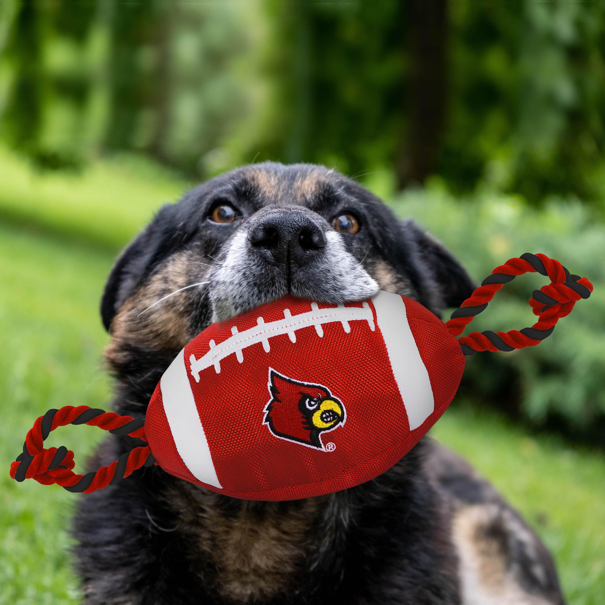 Pets First NCAA Louisville Cardinals Football Dog Toy, Tough Quality Nylon Materials, Strong Pull Ropes, Inner Squeaker, Collegi