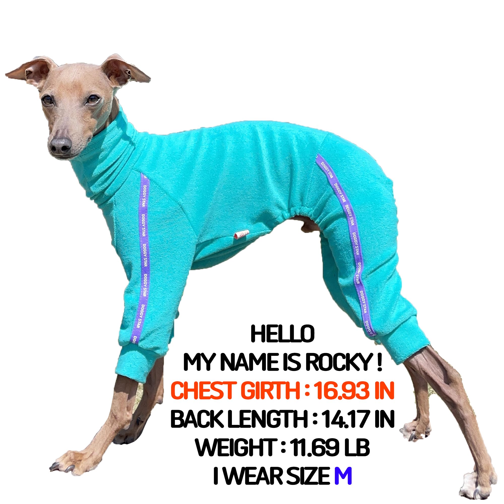 D Doggy Star Italian Greyhound Clothes Stretchy Towel Sports Onesie Outfit Whippet For Dog Coat (2Xl,Twl Turquoise)