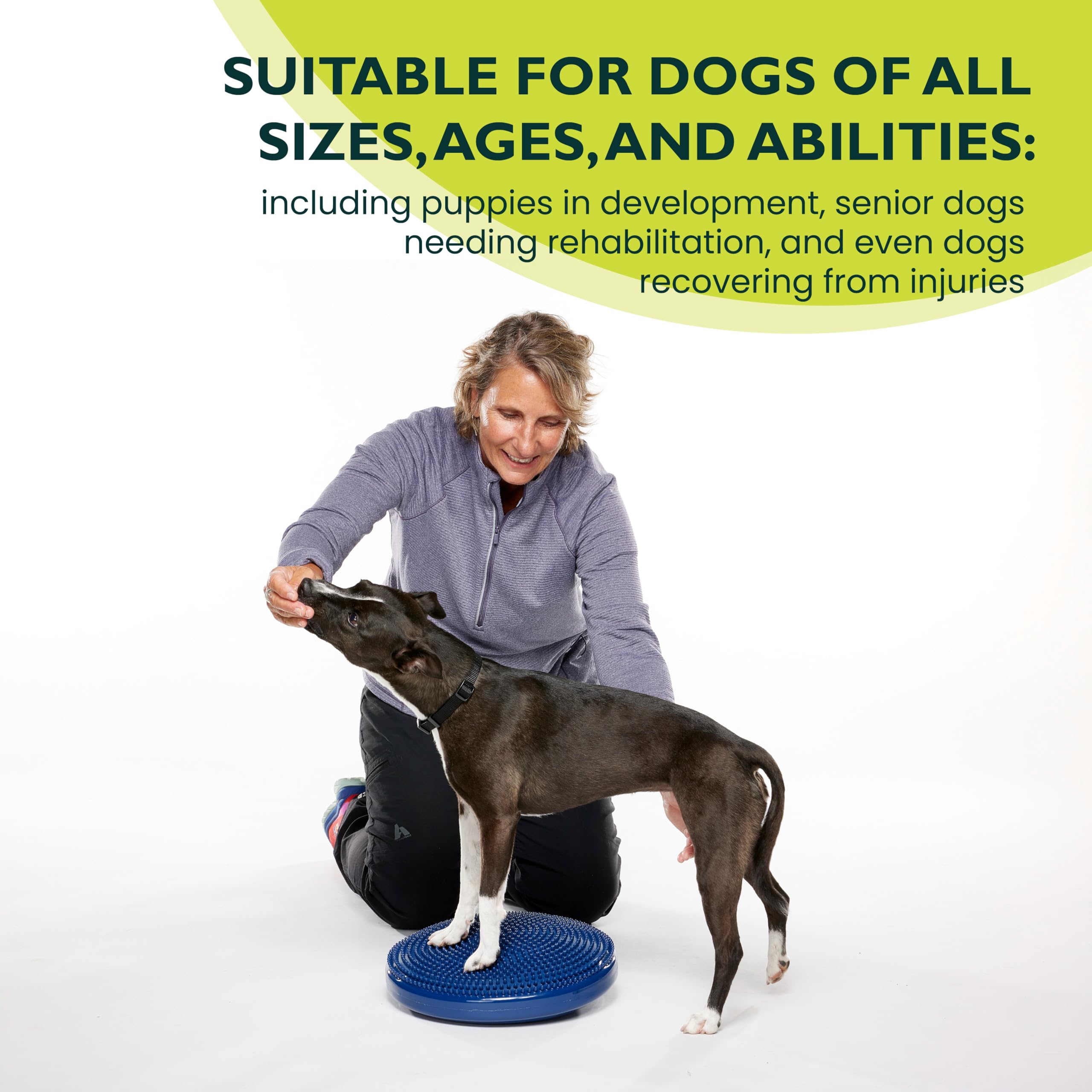 FitPAWS Dog Balance Disc - Blue, 14'' | Dog Exercise Equipment | Workout Tool for Strength, Core, Stability & Rehabilitation
