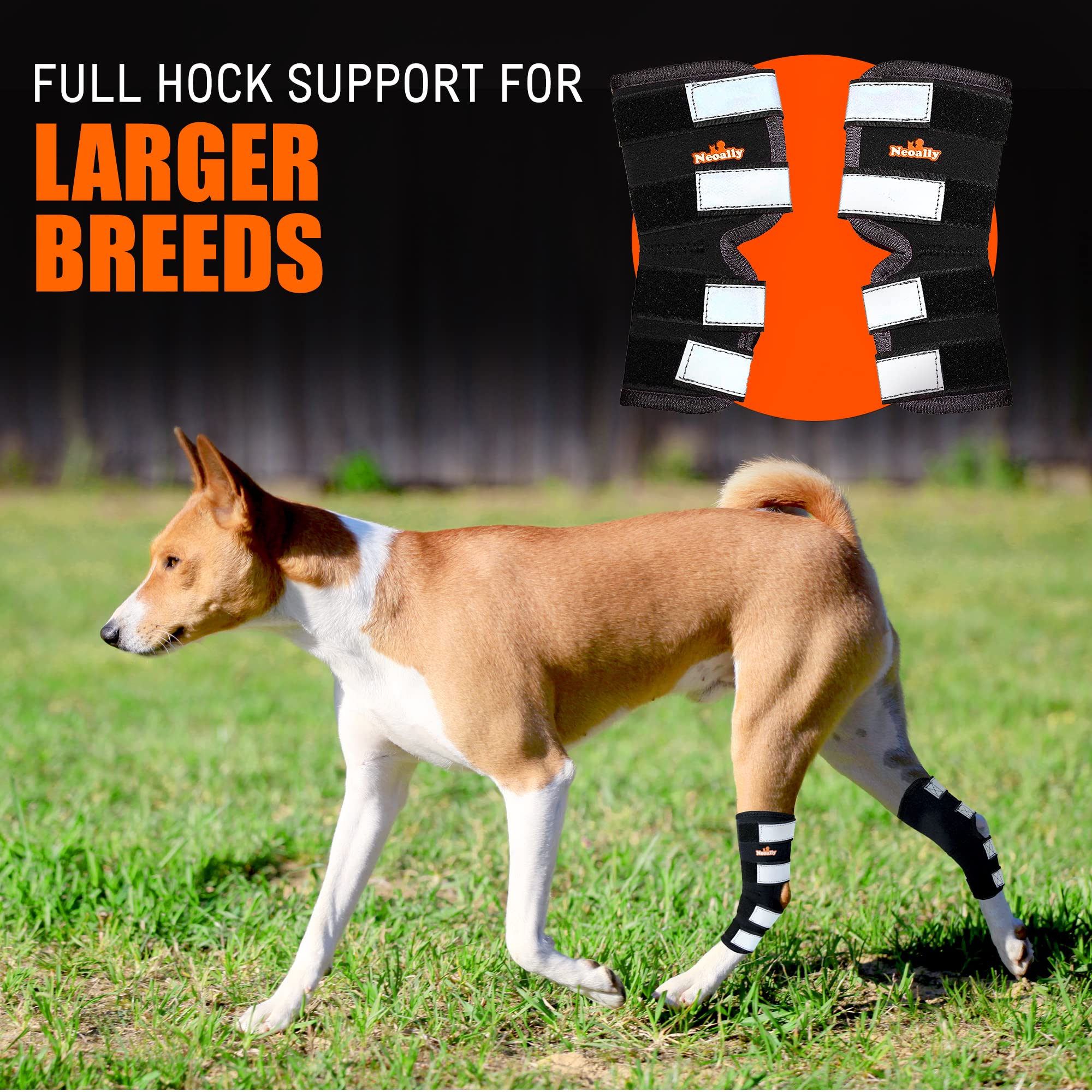 NeoAlly - Rear Leg Hock Brace, Dog Leg Brace for Rear Leg, Hock & Ankle Support for Large Dogs, Dog Brace for Torn Acl and Ccl,