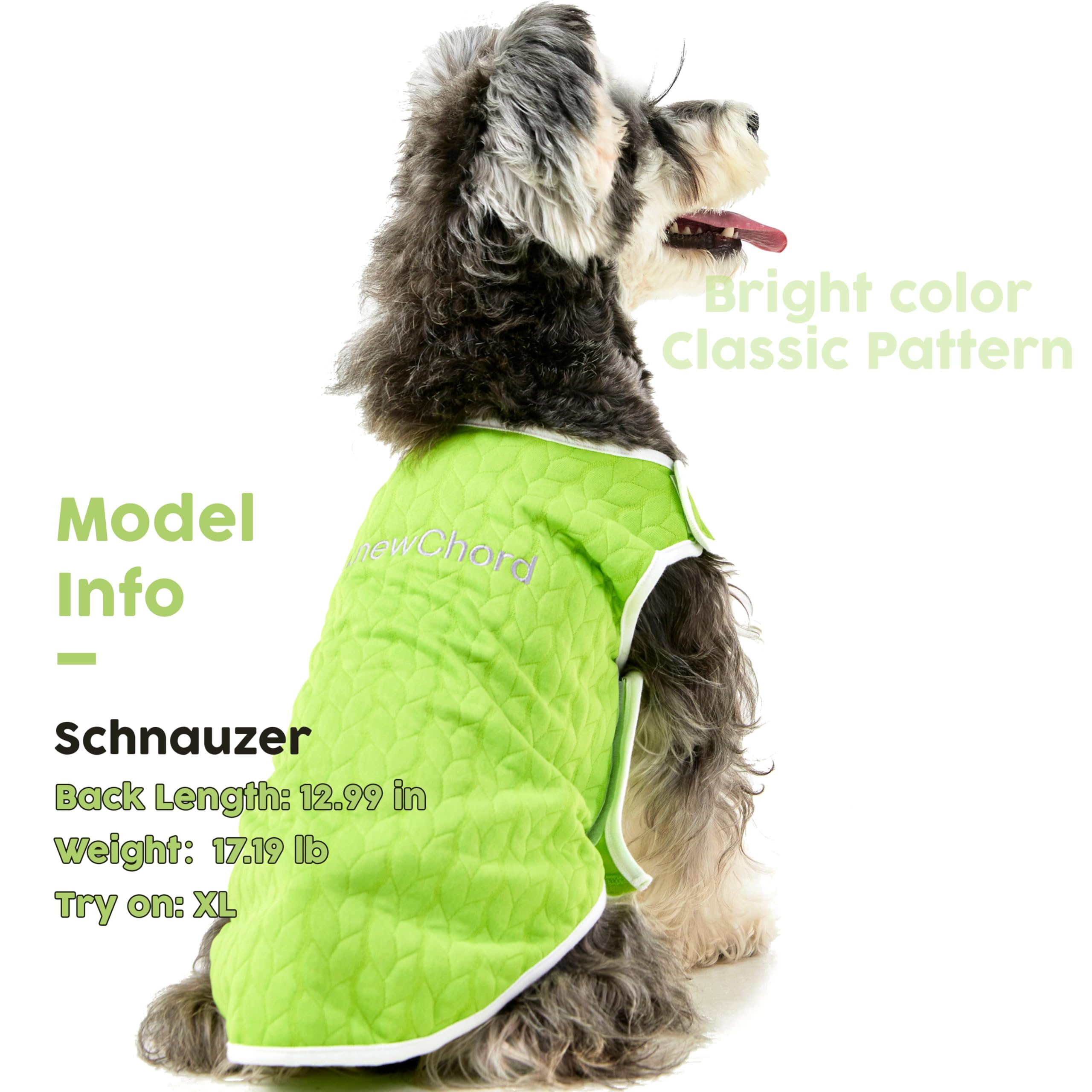 Knewchord Dog Shirts Soft Warm Cat Shirts Pet T-Shirt Puppy Dog Apparel Tee Tanks, Easy On And Off (Green, Medium)