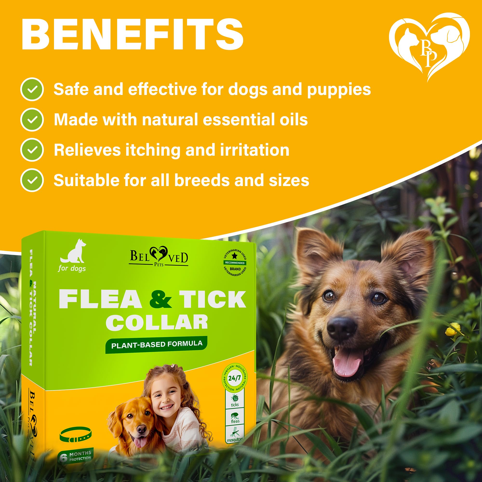 Natural Flea & Tick Collar For Dogs - 6 Months Control Of Best Prevention & Safe Treatment - Anti Fleas And Ticks Essential Oil