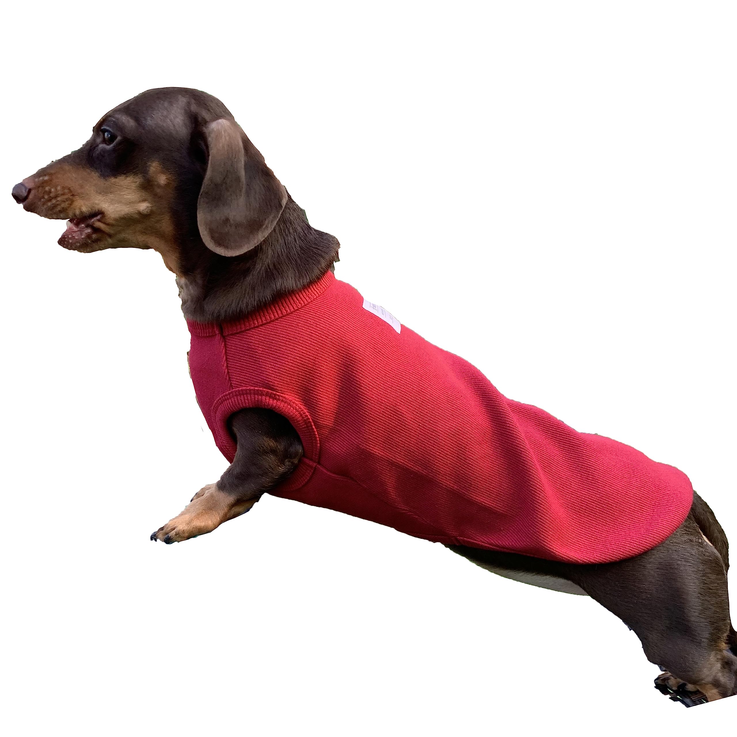 D Doggy Star Dachshund Clothes For Dogs Mini And Adults T Shirts (Xl,Solid Wine)